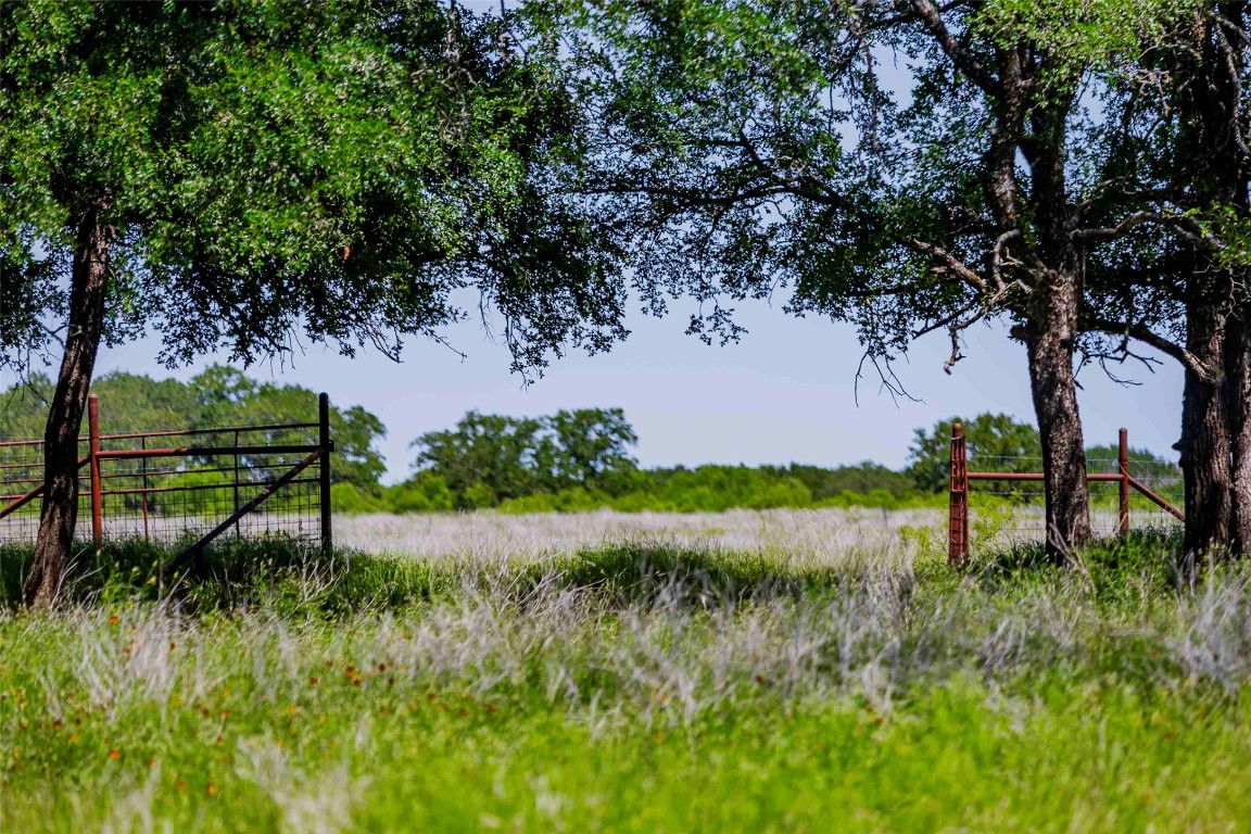 2265 County Road 106 , Purmela, TX, 76566 | 2982062 | Realty Texas LLC