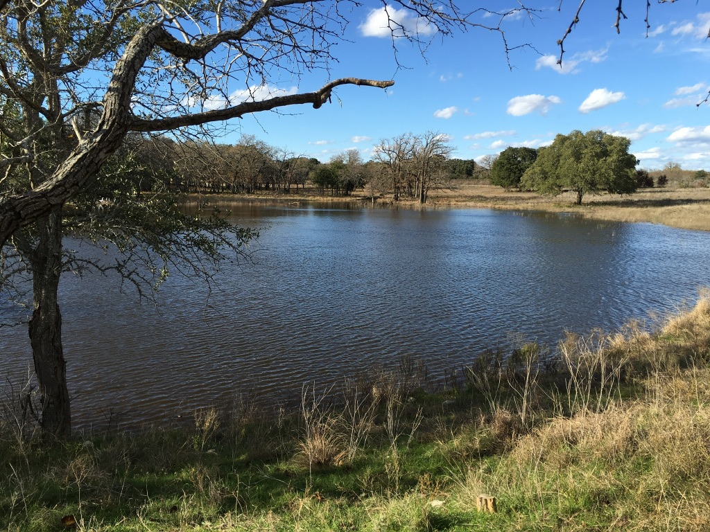 2265 County Road 106 , Purmela, TX, 76566 | 2982062 | Realty Texas LLC
