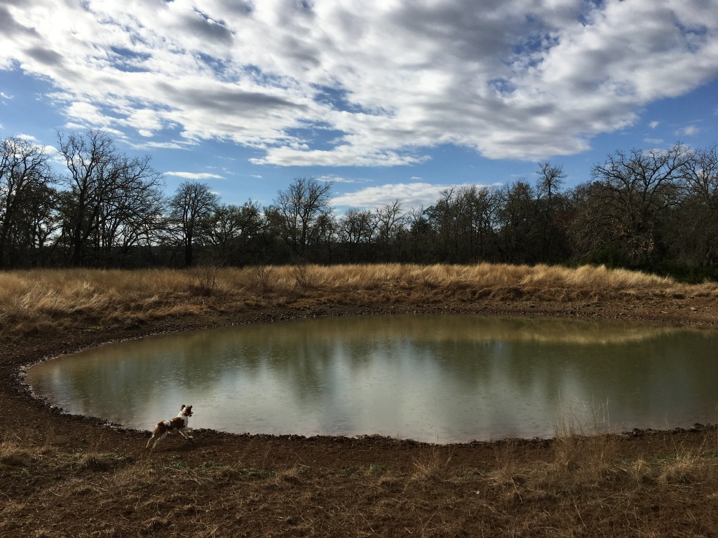 2265 County Road 106 , Purmela, TX, 76566 | 2982062 | Realty Texas LLC