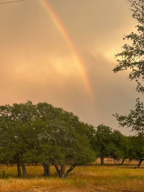 2265 County Road 106 , Purmela, TX, 76566 | 2982062 | Realty Texas LLC