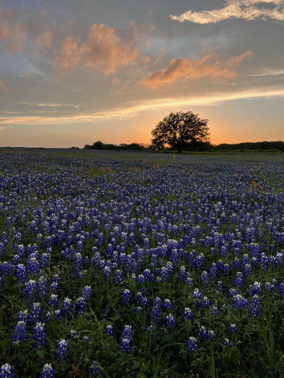 2265 County Road 106 , Purmela, TX, 76566 | 2982062 | Realty Texas LLC