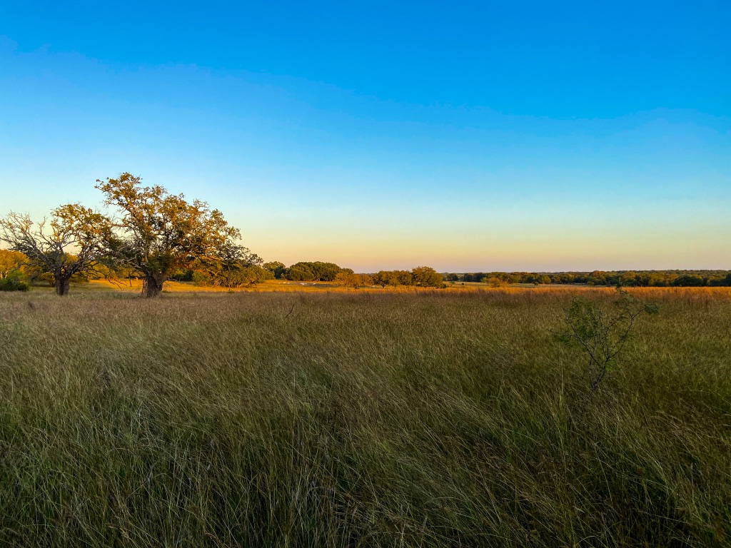 2265 County Road 106 , Purmela, TX, 76566 | 2982062 | Realty Texas LLC