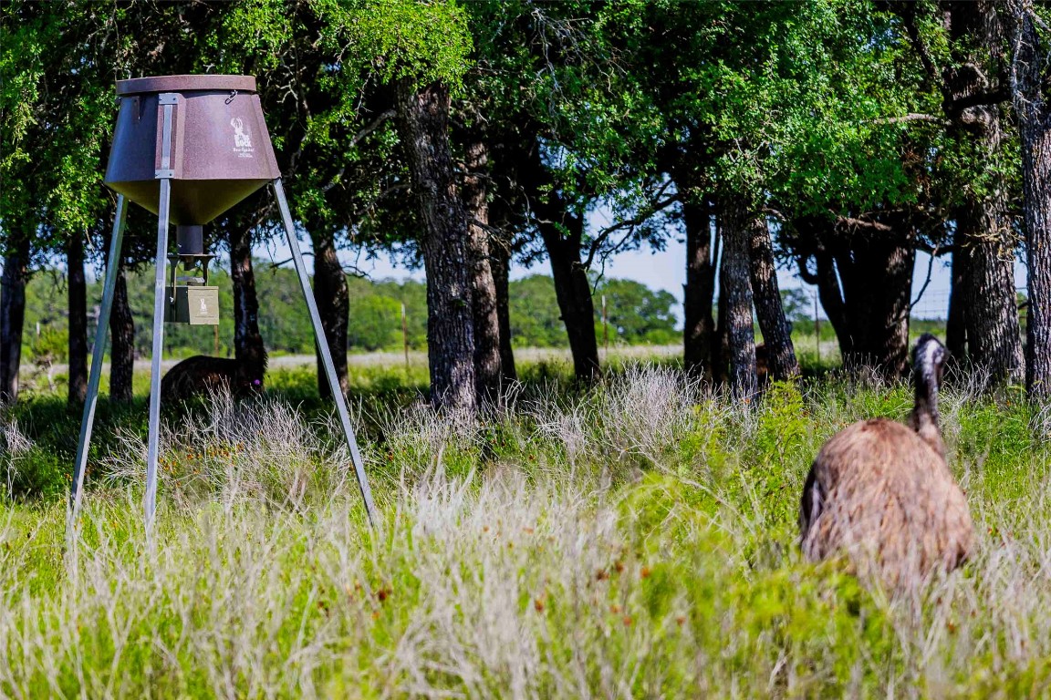 2265 County Road 106 , Purmela, TX, 76566 | 2982062 | Realty Texas LLC