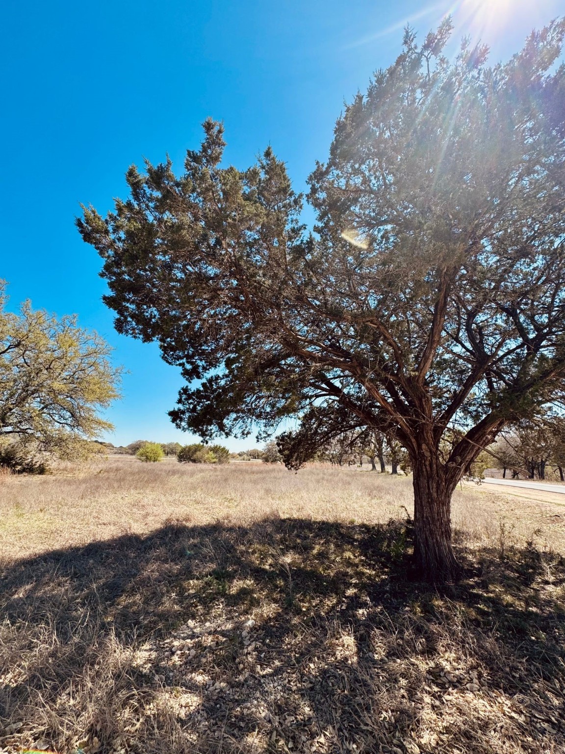 TBD Yosemite Drive , Oglesby, TX, 76561 | 20931523 | Realty Texas LLC