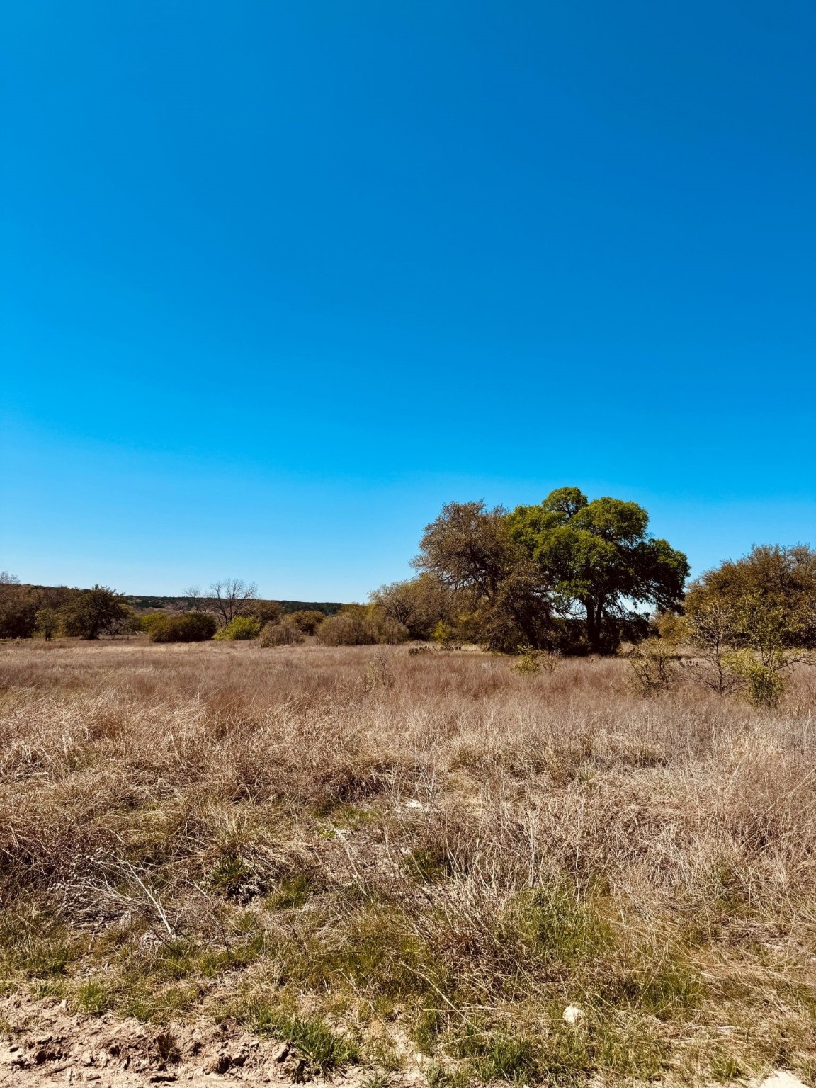 TBD Yosemite Drive , Oglesby, TX, 76561 | 20931523 | Realty Texas LLC