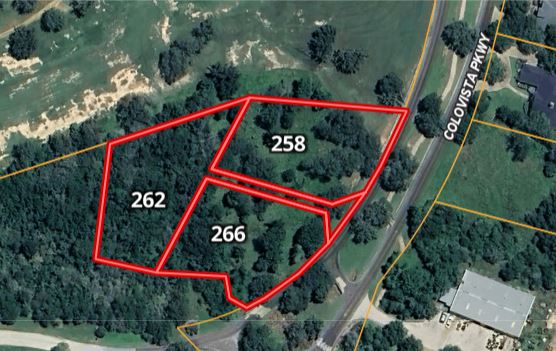 262 Colovista Parkway , Bastrop, TX, 78602 | 2992064 | Realty Texas LLC
