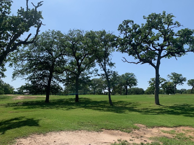 262 Colovista Parkway , Bastrop, TX, 78602 | 2992064 | Realty Texas LLC