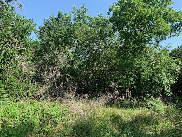 262 Colovista Parkway , Bastrop, TX, 78602 | 2992064 | Realty Texas LLC