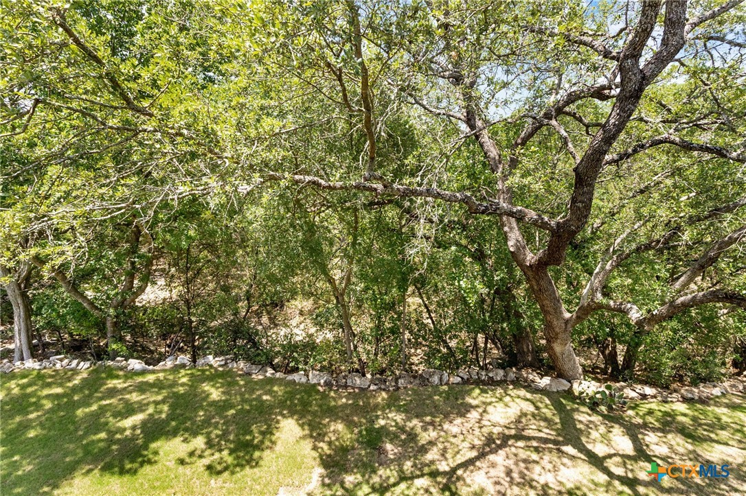 557 Timber Hollow , New Braunfels, TX, 78132 | 578898 | Realty Texas LLC