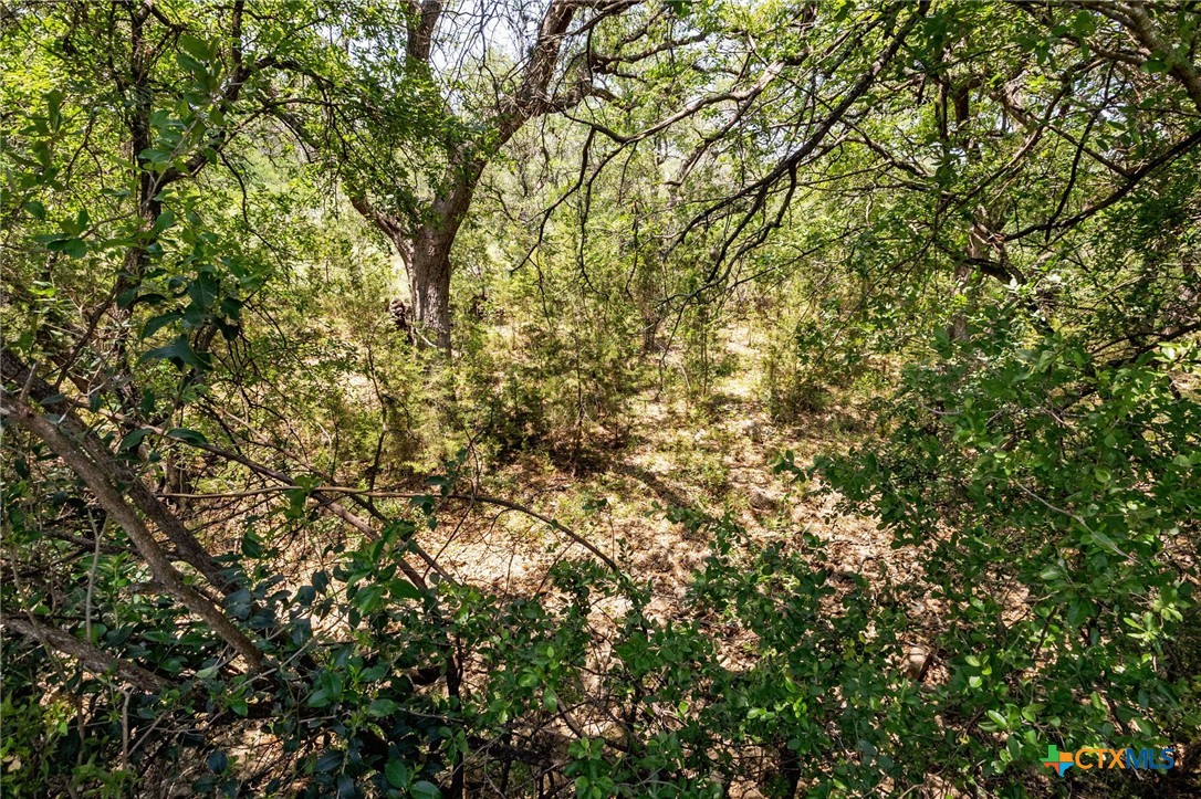 557 Timber Hollow , New Braunfels, TX, 78132 | 578898 | Realty Texas LLC