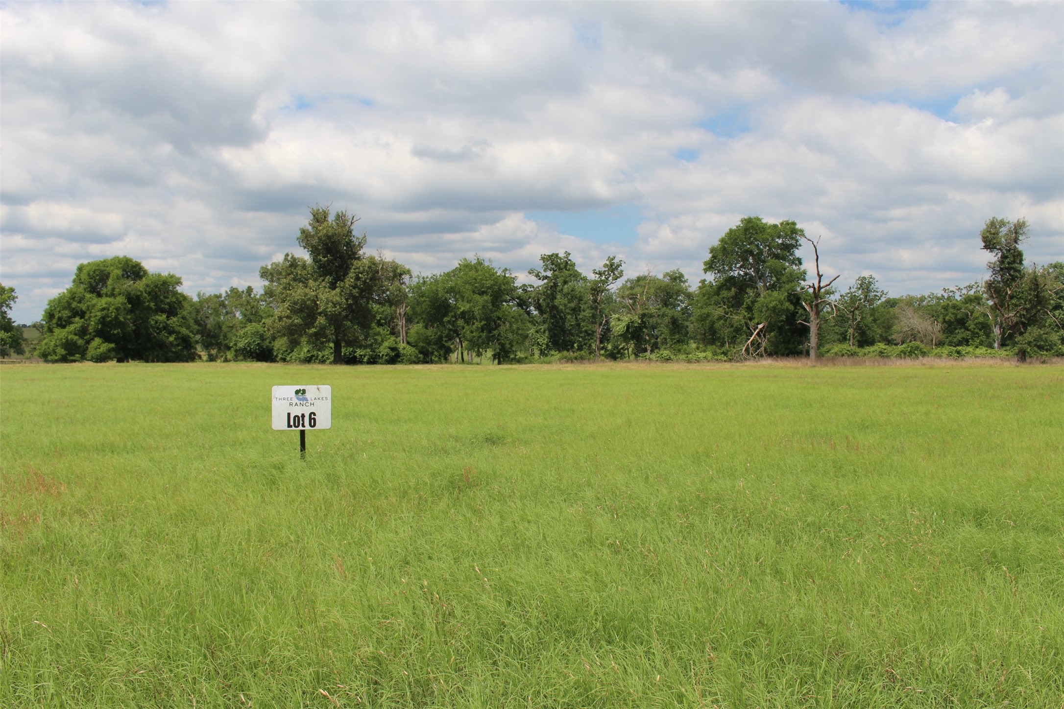 Tract 6 Private Road 1311 , Centerville, TX, 75833 | 95504119 | Realty Texas LLC