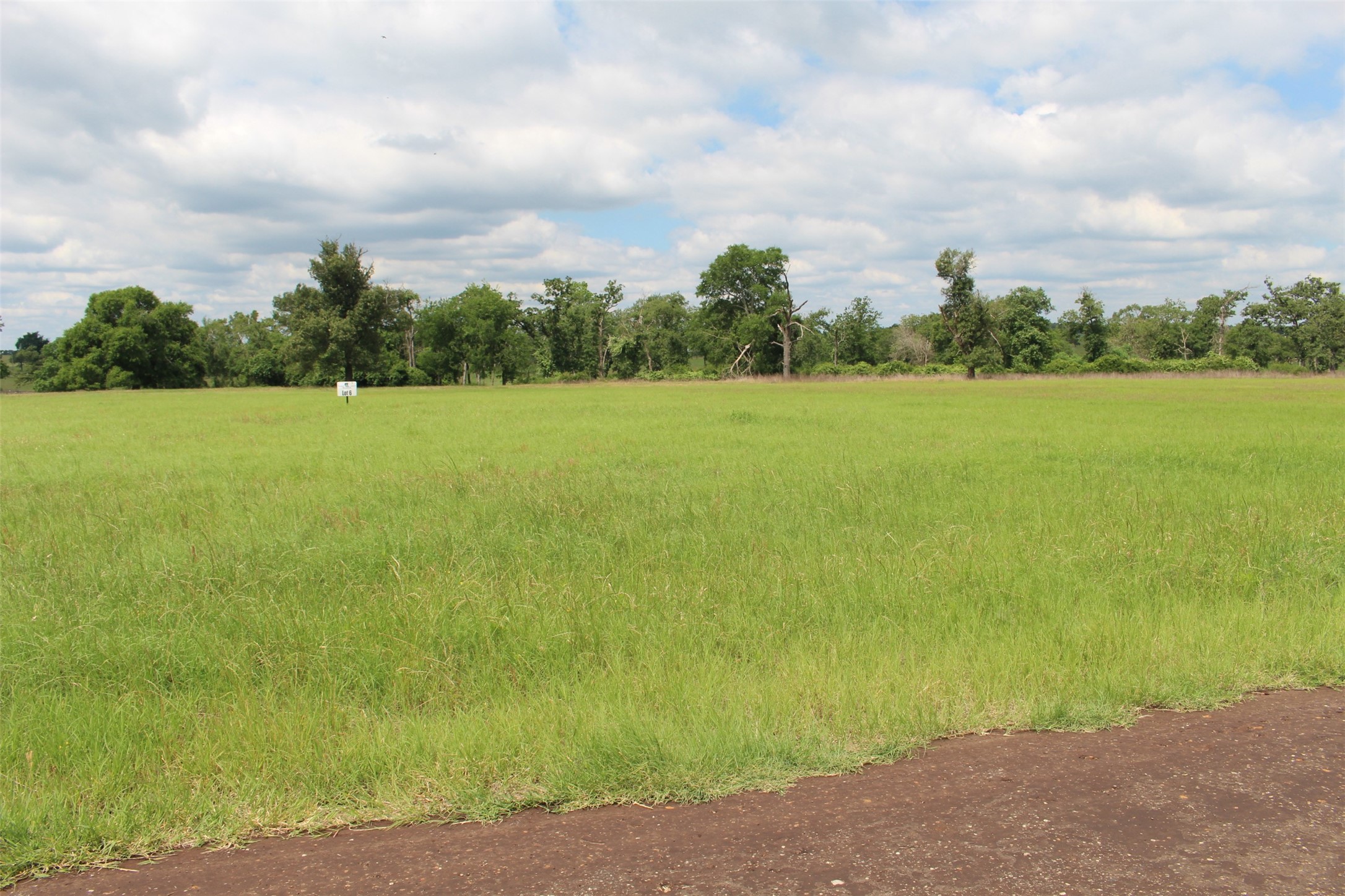 Tract 6 Private Road 1311 , Centerville, TX, 75833 | 95504119 | Realty Texas LLC