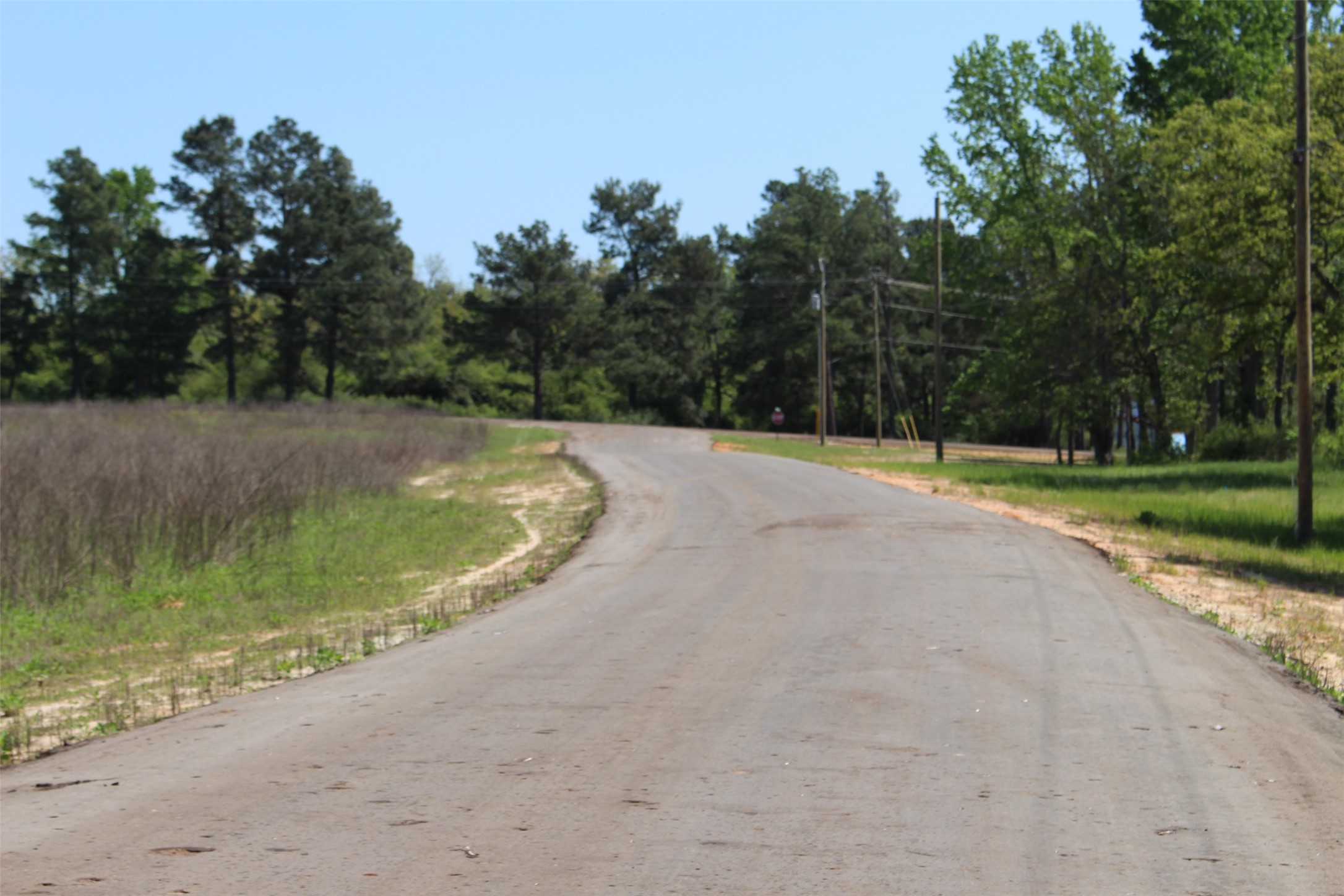 Tract 6 Private Road 1311 , Centerville, TX, 75833 | 95504119 | Realty Texas LLC