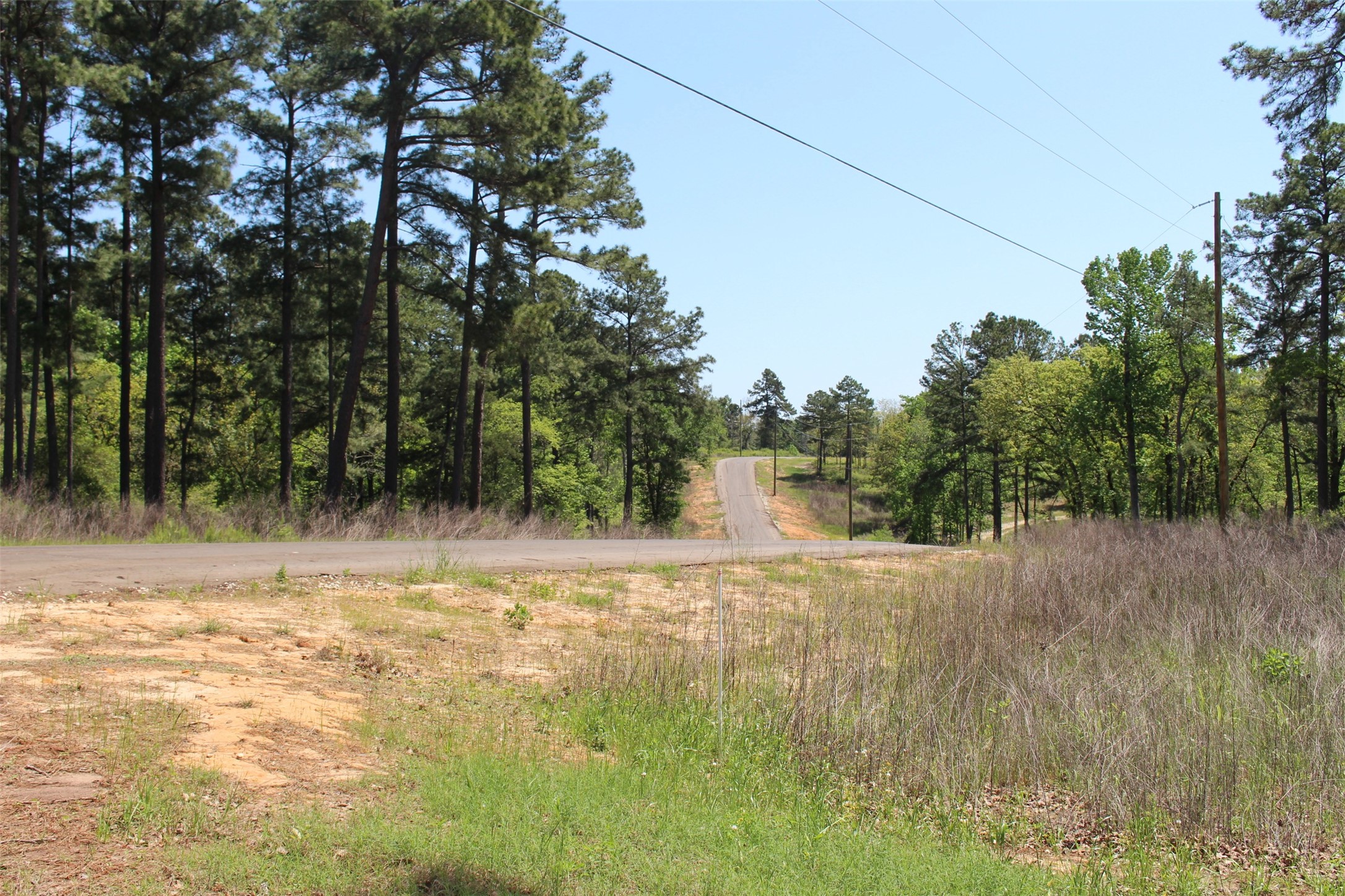 Tract 6 Private Road 1311 , Centerville, TX, 75833 | 95504119 | Realty Texas LLC