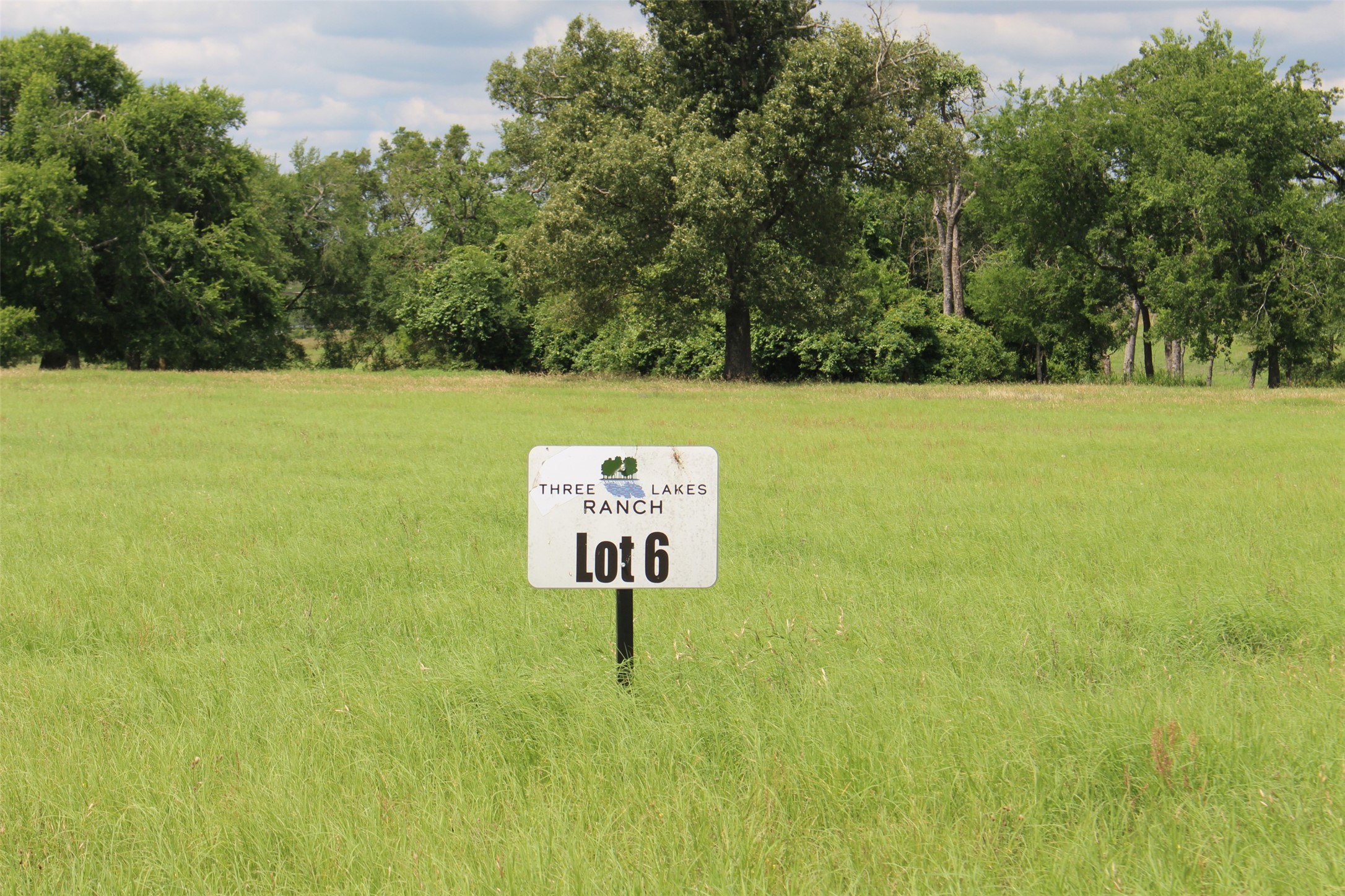 Tract 6 Private Road 1311 , Centerville, TX, 75833 | 95504119 | Realty Texas LLC