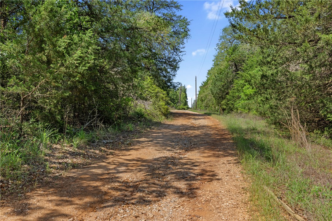 10271 County Road 316 , Caldwell, TX, 77836 | 25005770 | Realty Texas LLC