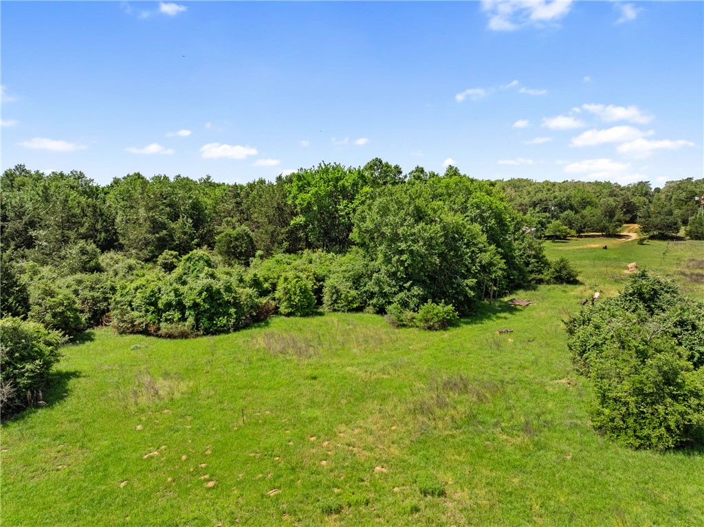 10271 County Road 316 , Caldwell, TX, 77836 | 25005770 | Realty Texas LLC