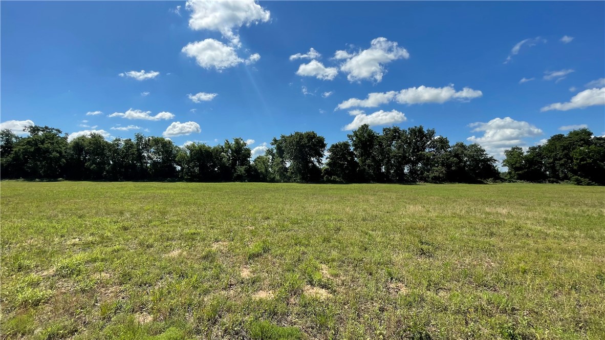 TBD HIGHLAND BRANCH SUBDIVISION , Cameron, TX, 76520 | 25005793 | Realty Texas LLC