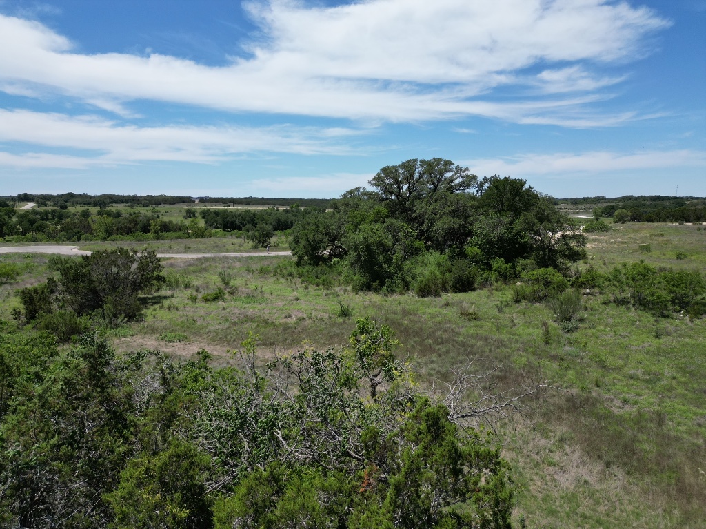 Lot 42 Serenity Drive, Bertram, TX, 78605 | 1612590 | Realty Texas LLC