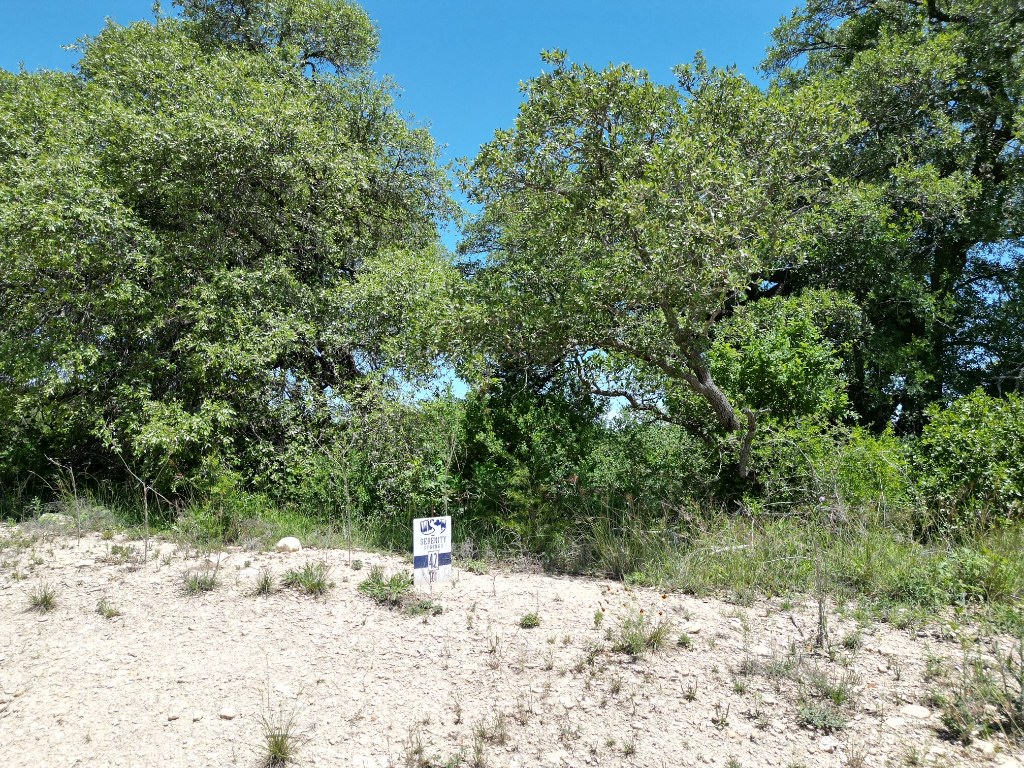 Lot 42 Serenity Drive, Bertram, TX, 78605 | 1612590 | Realty Texas LLC