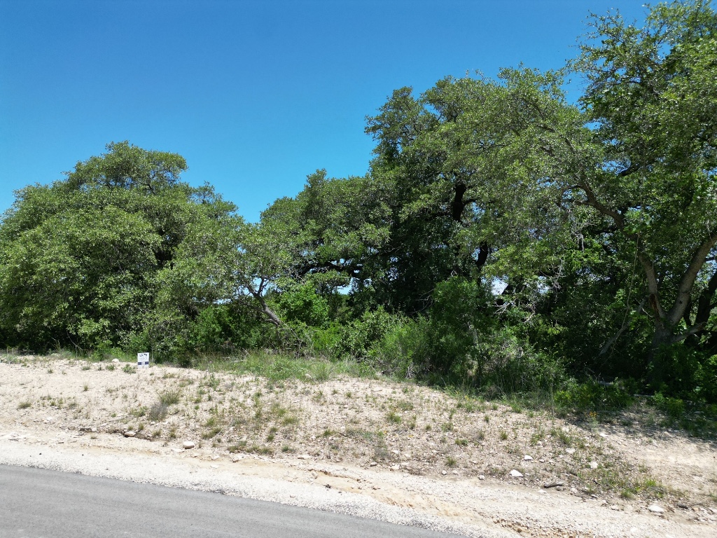 Lot 42 Serenity Drive, Bertram, TX, 78605 | 1612590 | Realty Texas LLC