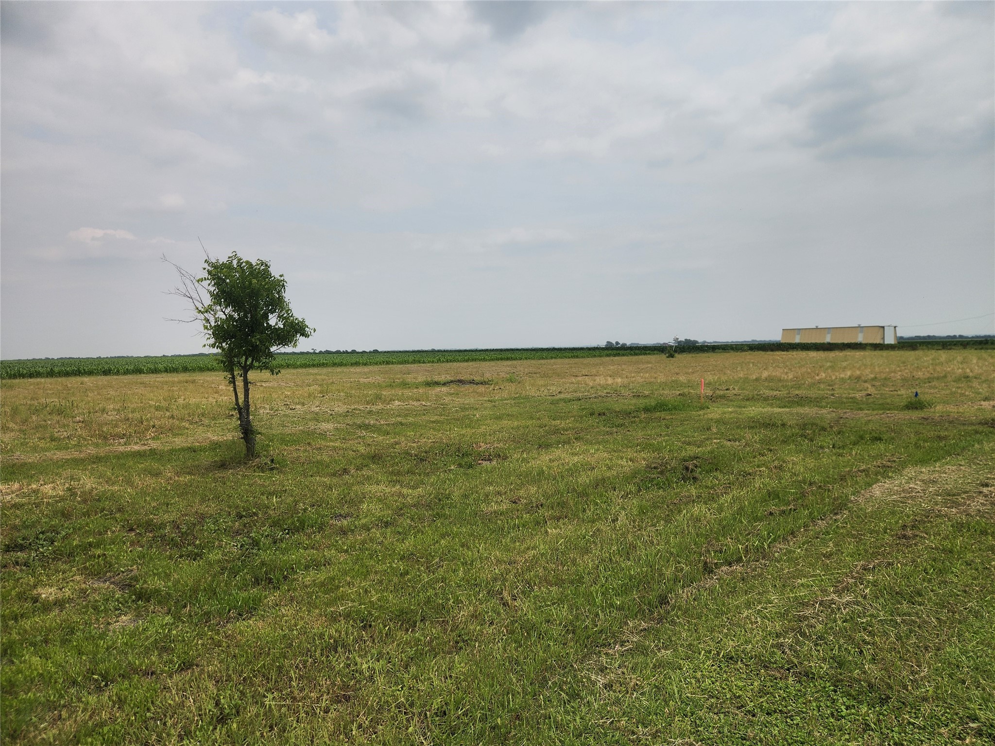 TBD Old Blooming Grove Rd , Avalon, TX, 76623 | 20934965 | Realty Texas LLC
