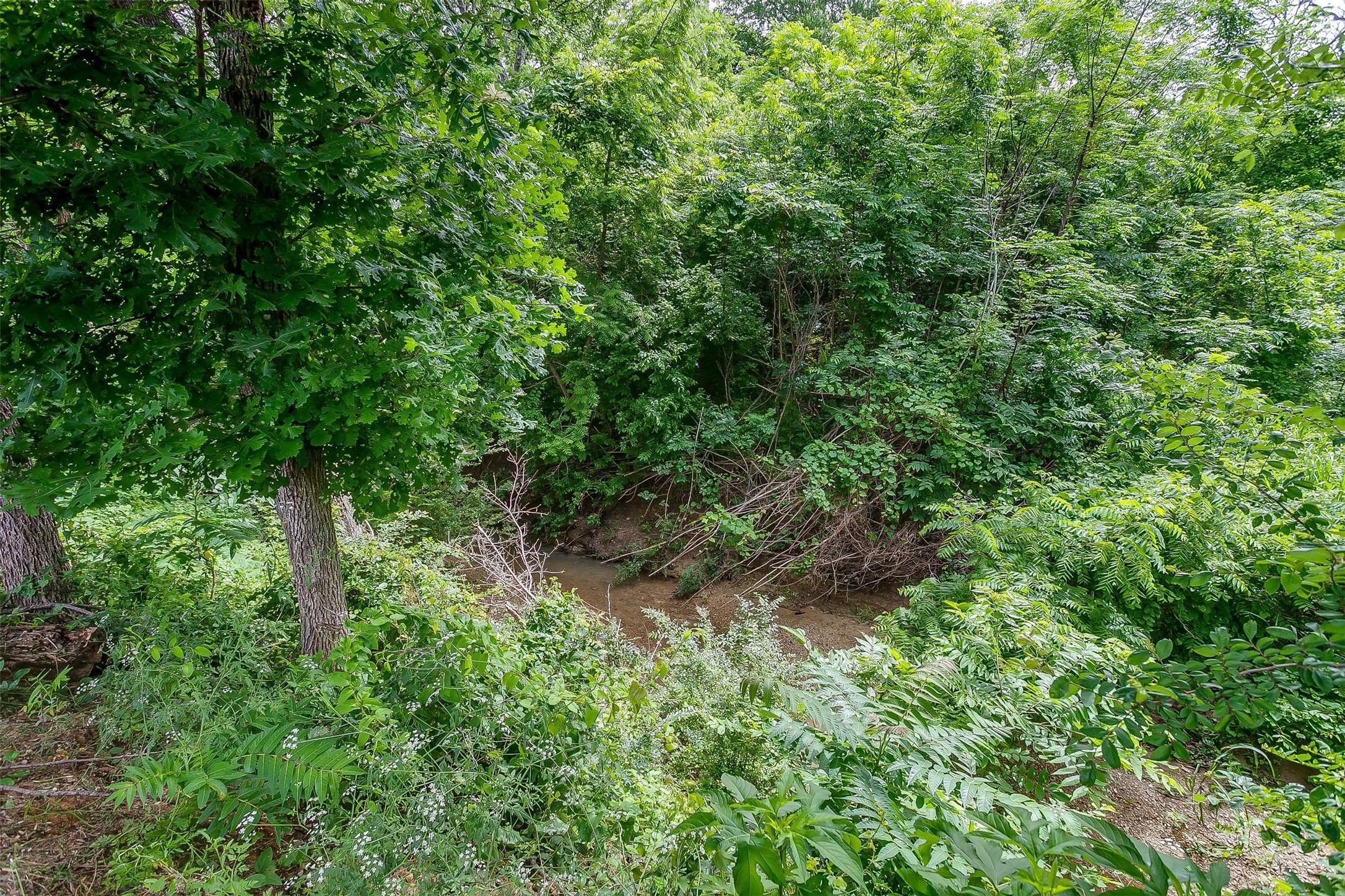 3368 Fm 66 , Grandview, TX, 76050 | 20937478 | Realty Texas LLC