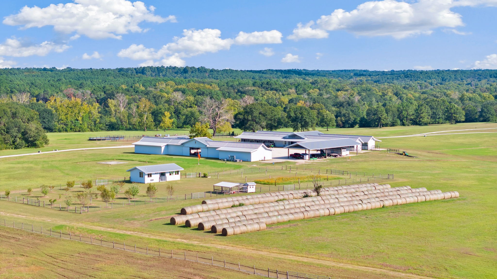 000 Tract #1 Whitehall Ranch Road , Navasota, TX, 77868 | 95897936 | Realty Texas LLC
