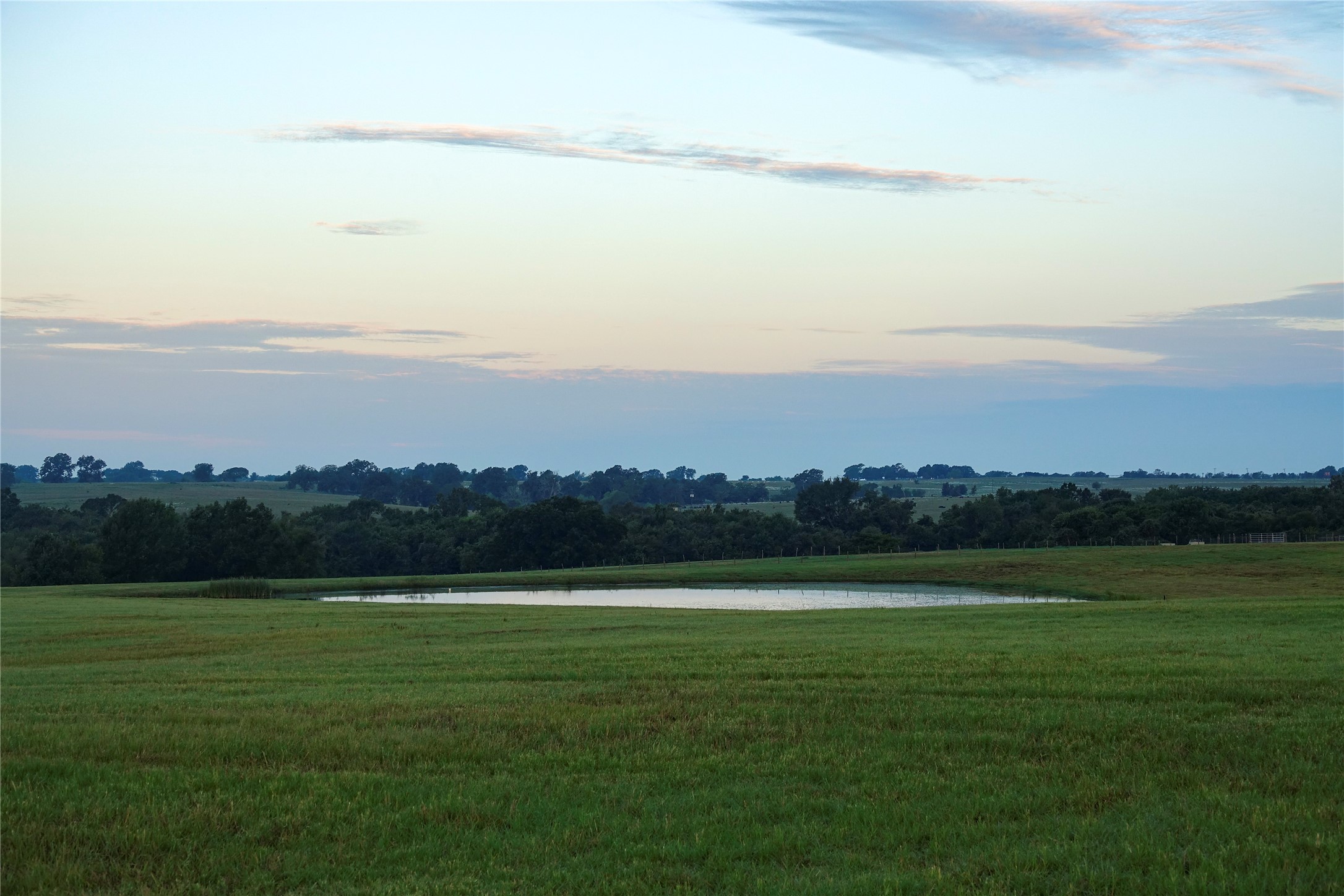 000 Tract #1 Whitehall Ranch Road , Navasota, TX, 77868 | 95897936 | Realty Texas LLC