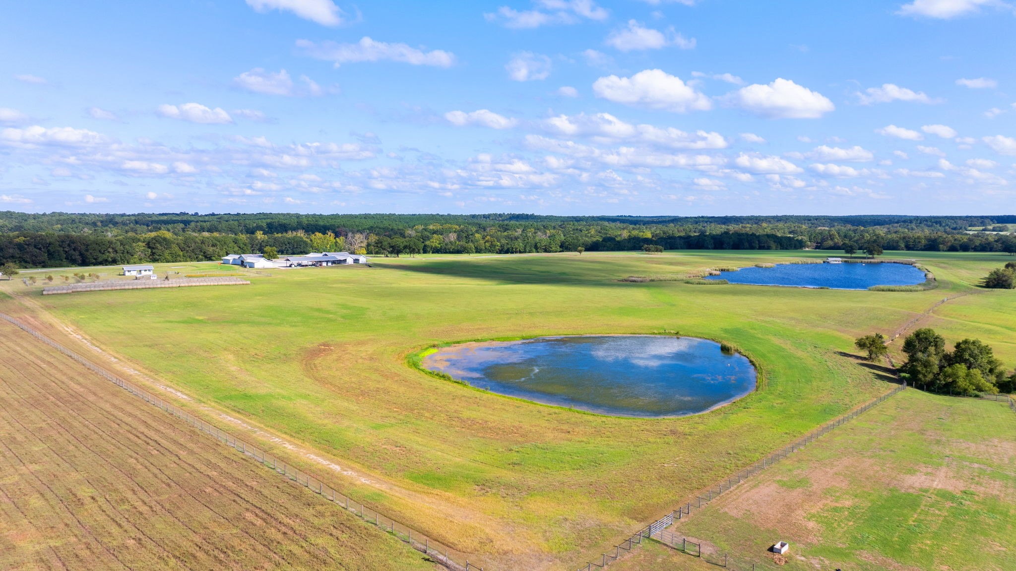 000 Tract #1 Whitehall Ranch Road , Navasota, TX, 77868 | 95897936 | Realty Texas LLC