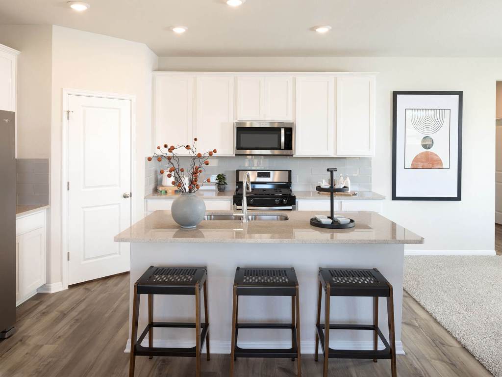 836 Sun Grove Trail, Georgetown, TX, 78628 | 8080562 | Realty Texas LLC