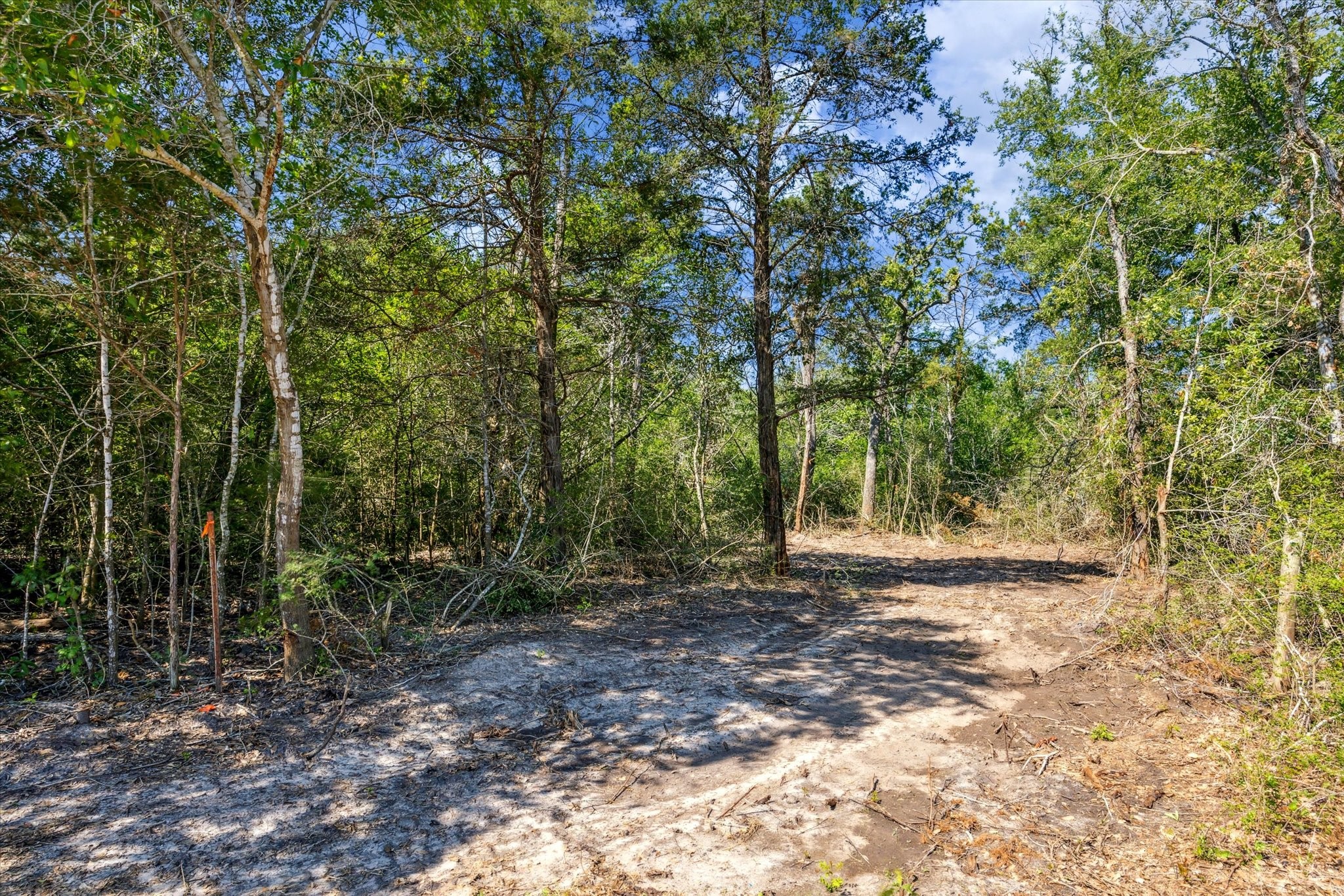 TBD Tx-159, Fayetteville, TX, 78940 | 62700747 | Realty Texas LLC