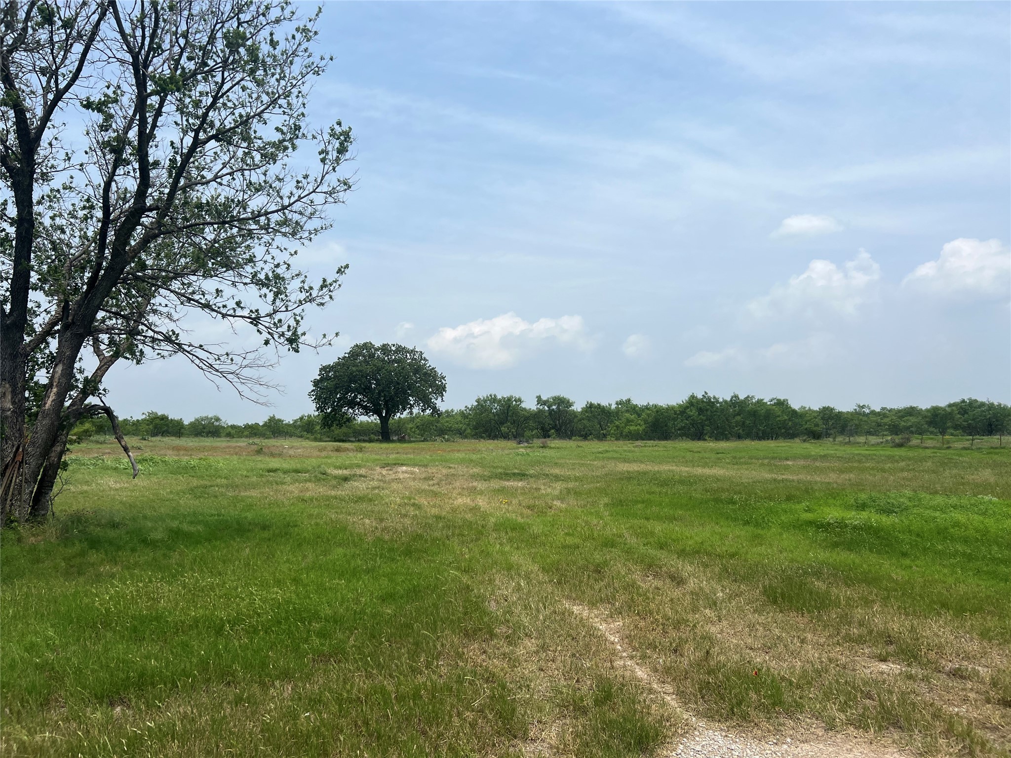 1100 County Road 266 , Zephyr, TX, 76890 | 20941624 | Realty Texas LLC