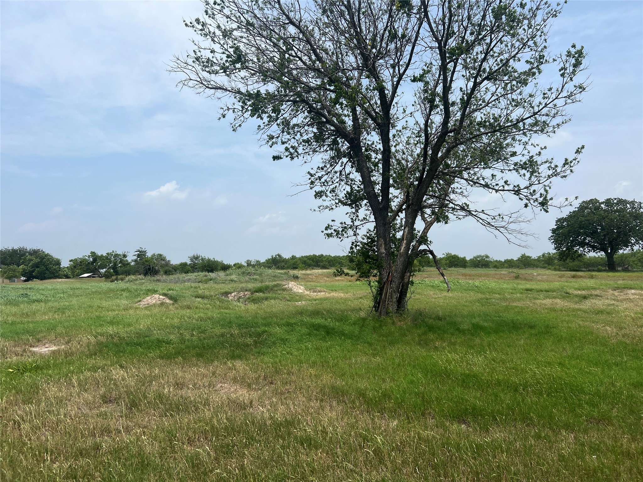 1100 County Road 266 , Zephyr, TX, 76890 | 20941624 | Realty Texas LLC