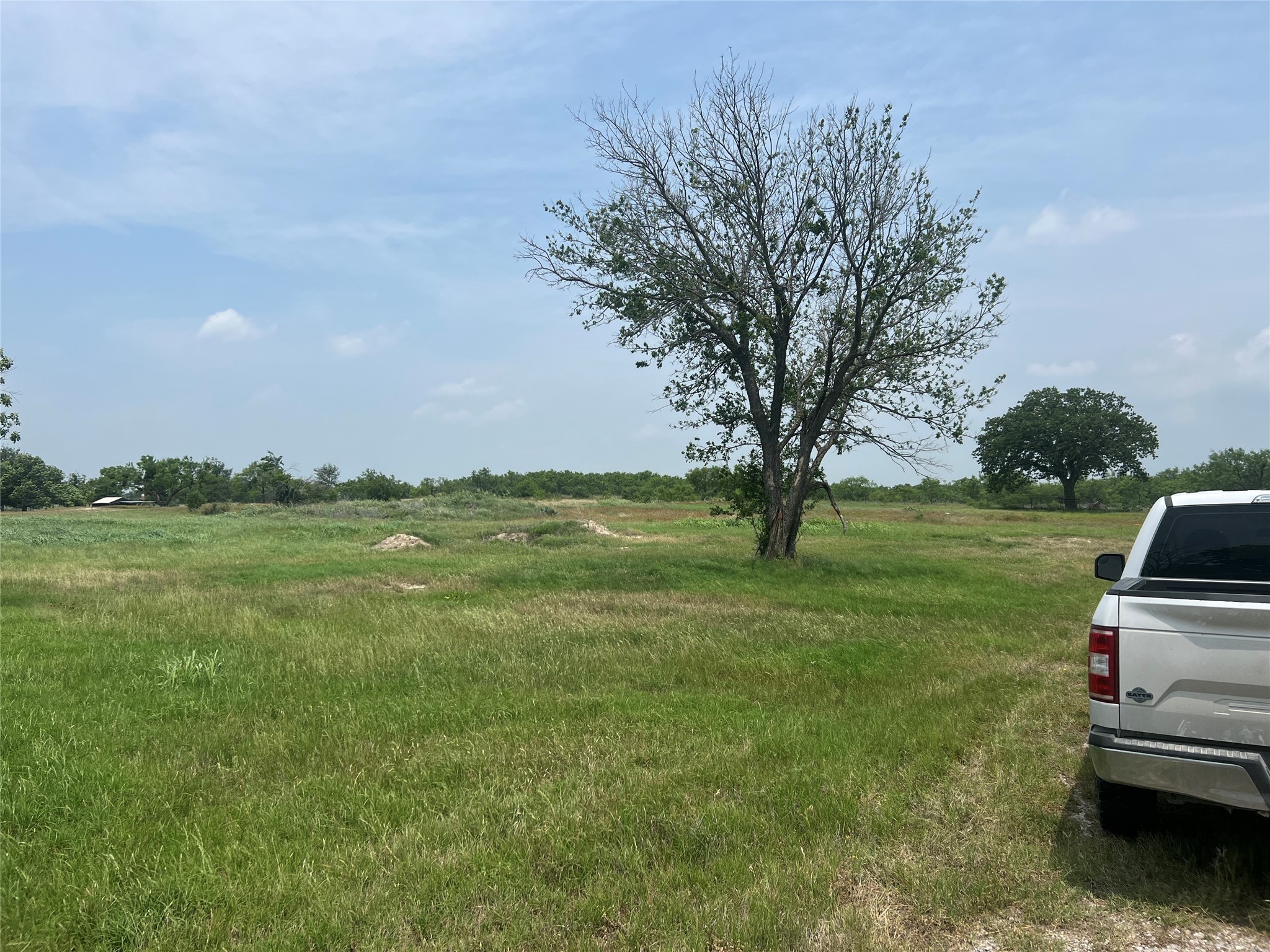 1100 County Road 266 , Zephyr, TX, 76890 | 20941624 | Realty Texas LLC