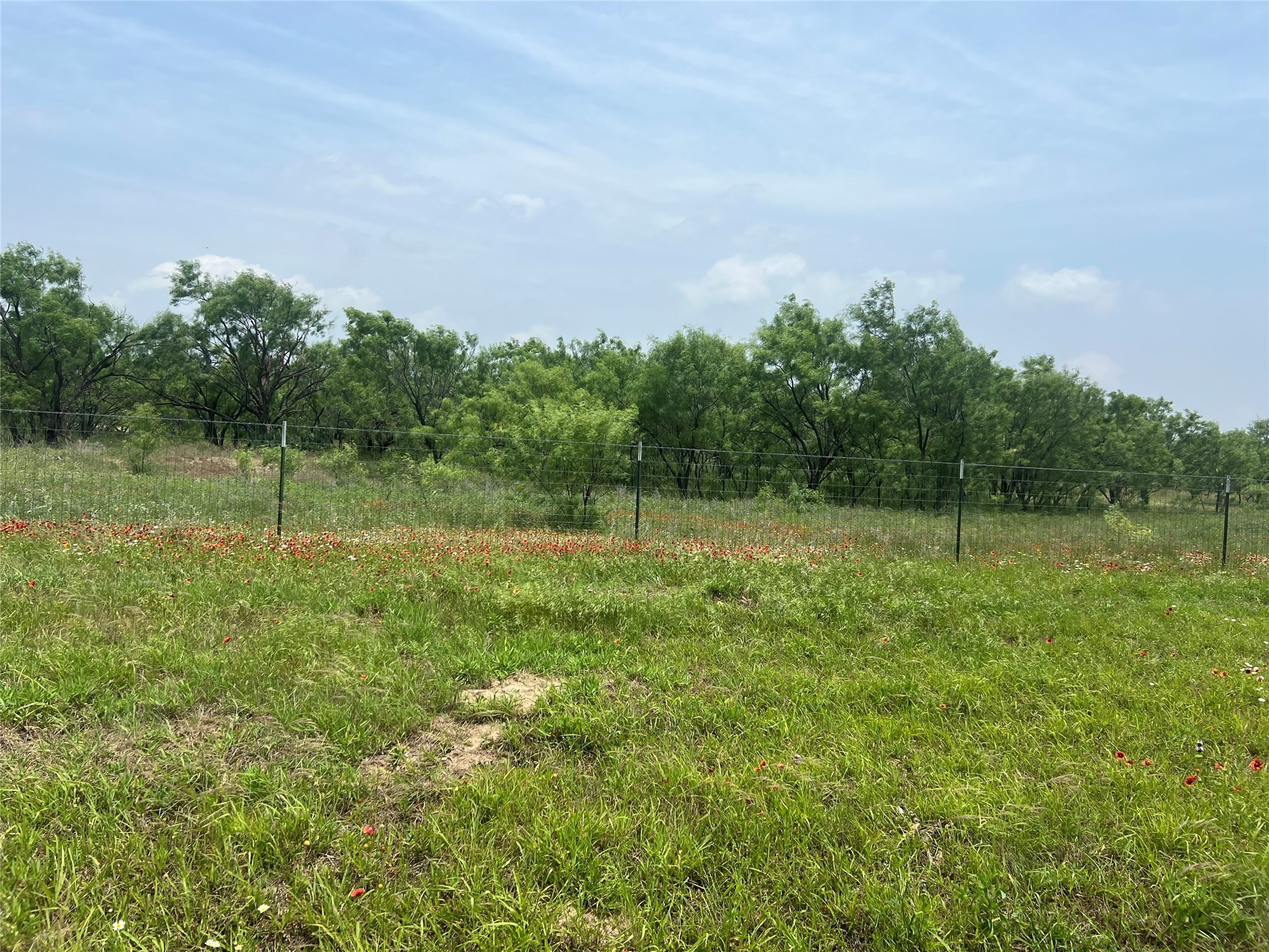 1100 County Road 266 , Zephyr, TX, 76890 | 20941624 | Realty Texas LLC