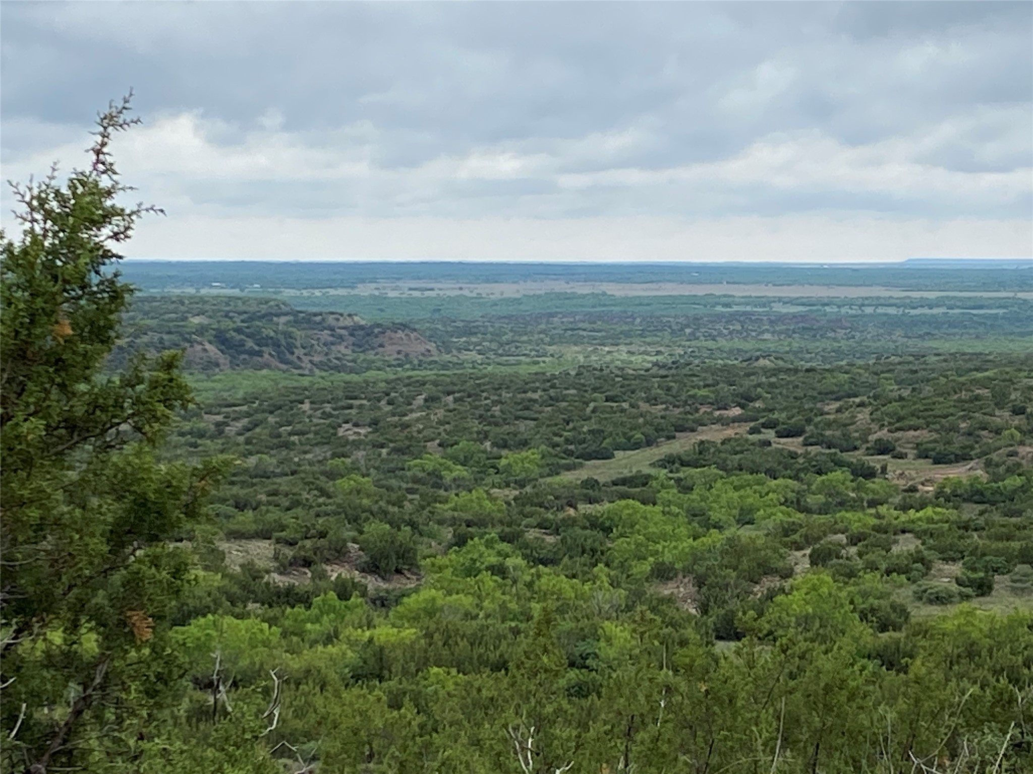 906 CR 235, Aspermont, TX, 79502 | 9658601 | Realty Texas LLC