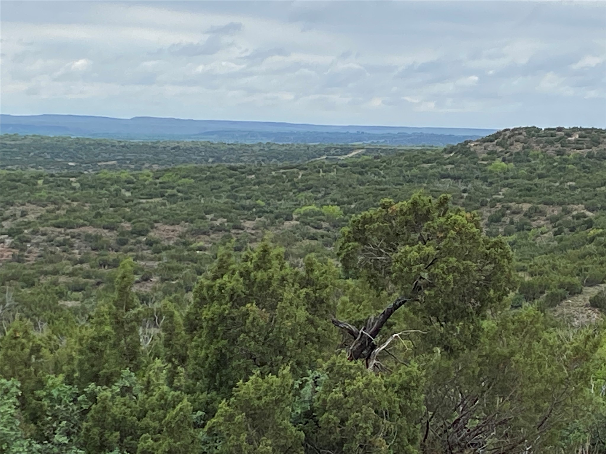 906 CR 235, Aspermont, TX, 79502 | 9658601 | Realty Texas LLC