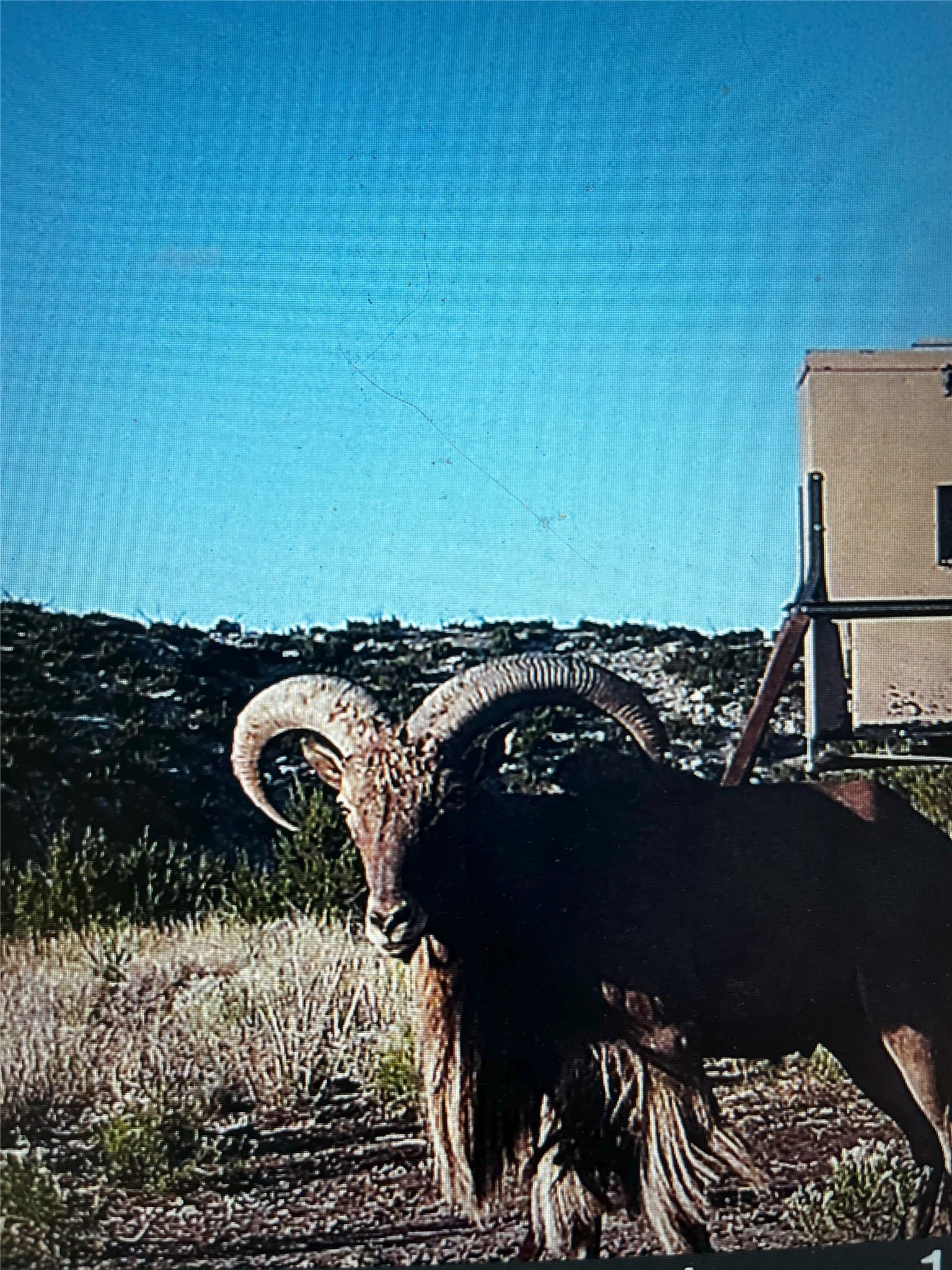 906 CR 235, Aspermont, TX, 79502 | 9658601 | Realty Texas LLC