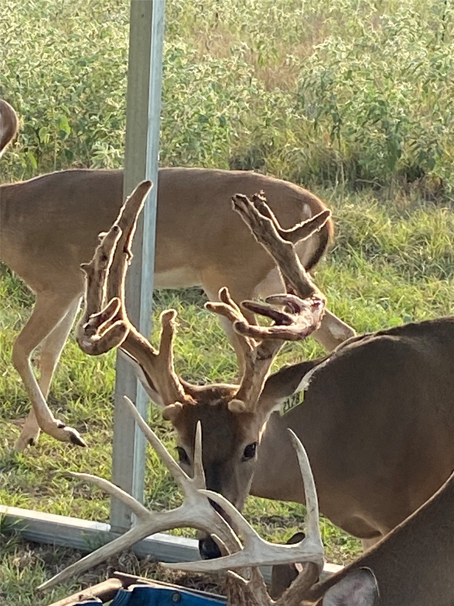 906 CR 235, Aspermont, TX, 79502 | 9658601 | Realty Texas LLC