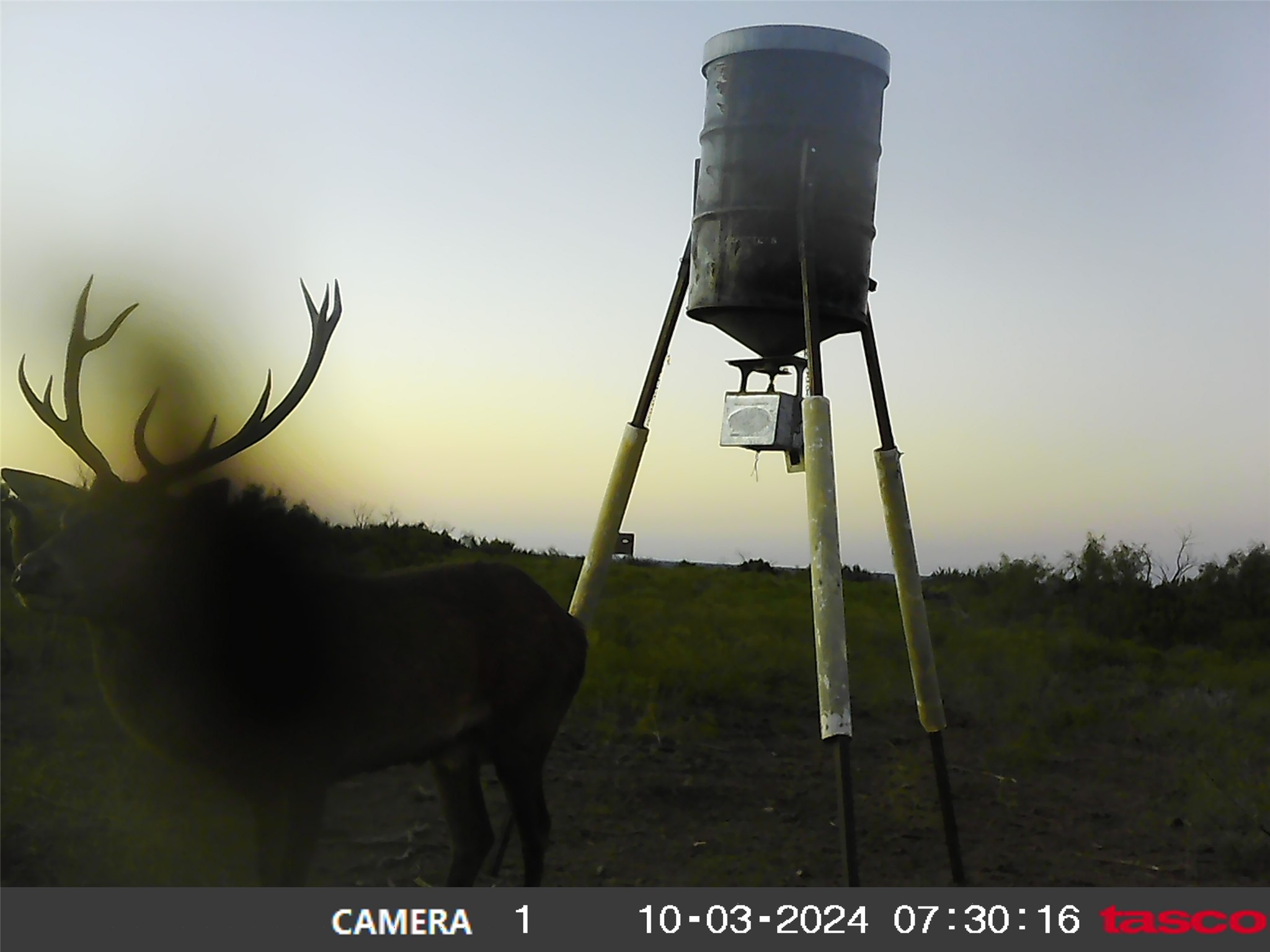 906 CR 235, Aspermont, TX, 79502 | 9658601 | Realty Texas LLC