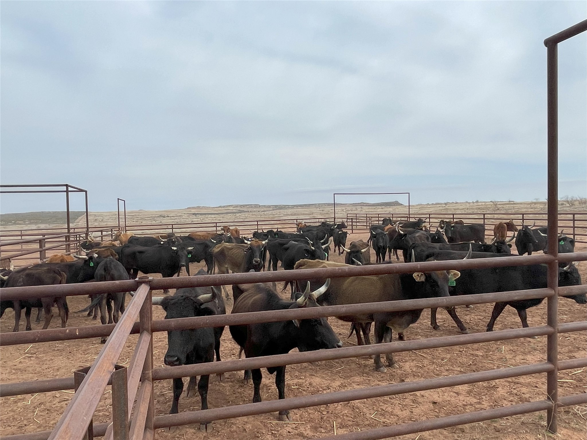 906 CR 235, Aspermont, TX, 79502 | 9658601 | Realty Texas LLC