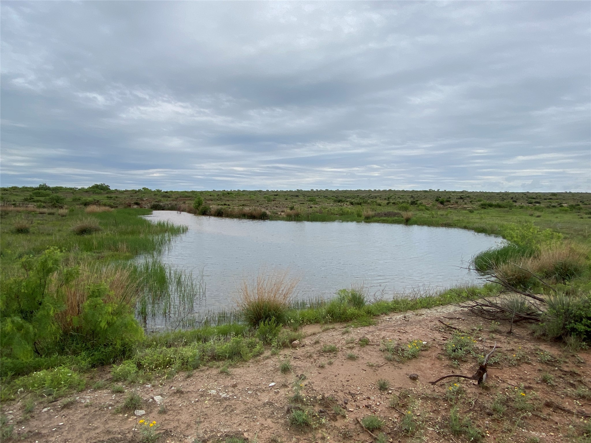 906 CR 235, Aspermont, TX, 79502 | 9658601 | Realty Texas LLC