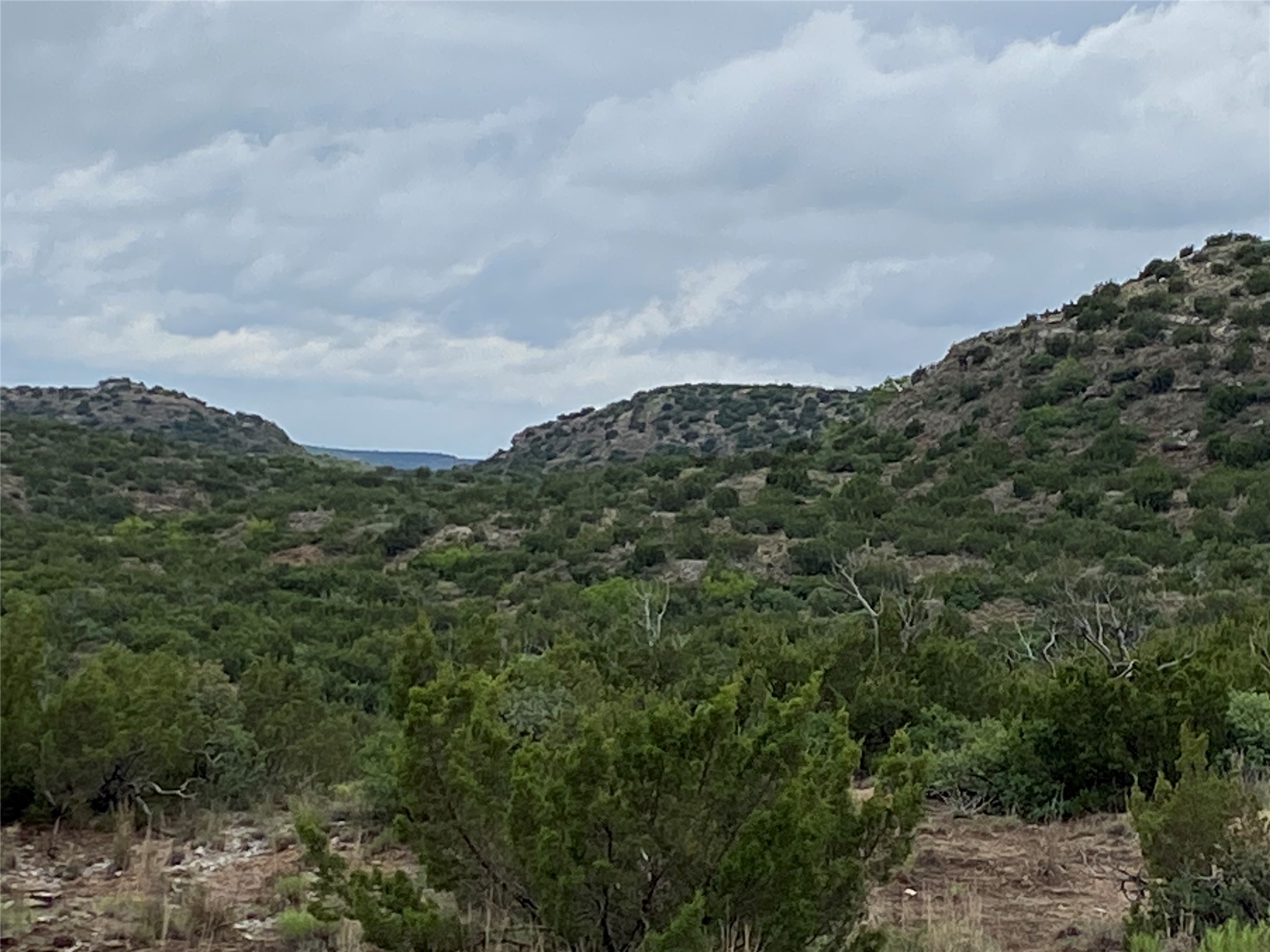 906 CR 235, Aspermont, TX, 79502 | 9658601 | Realty Texas LLC