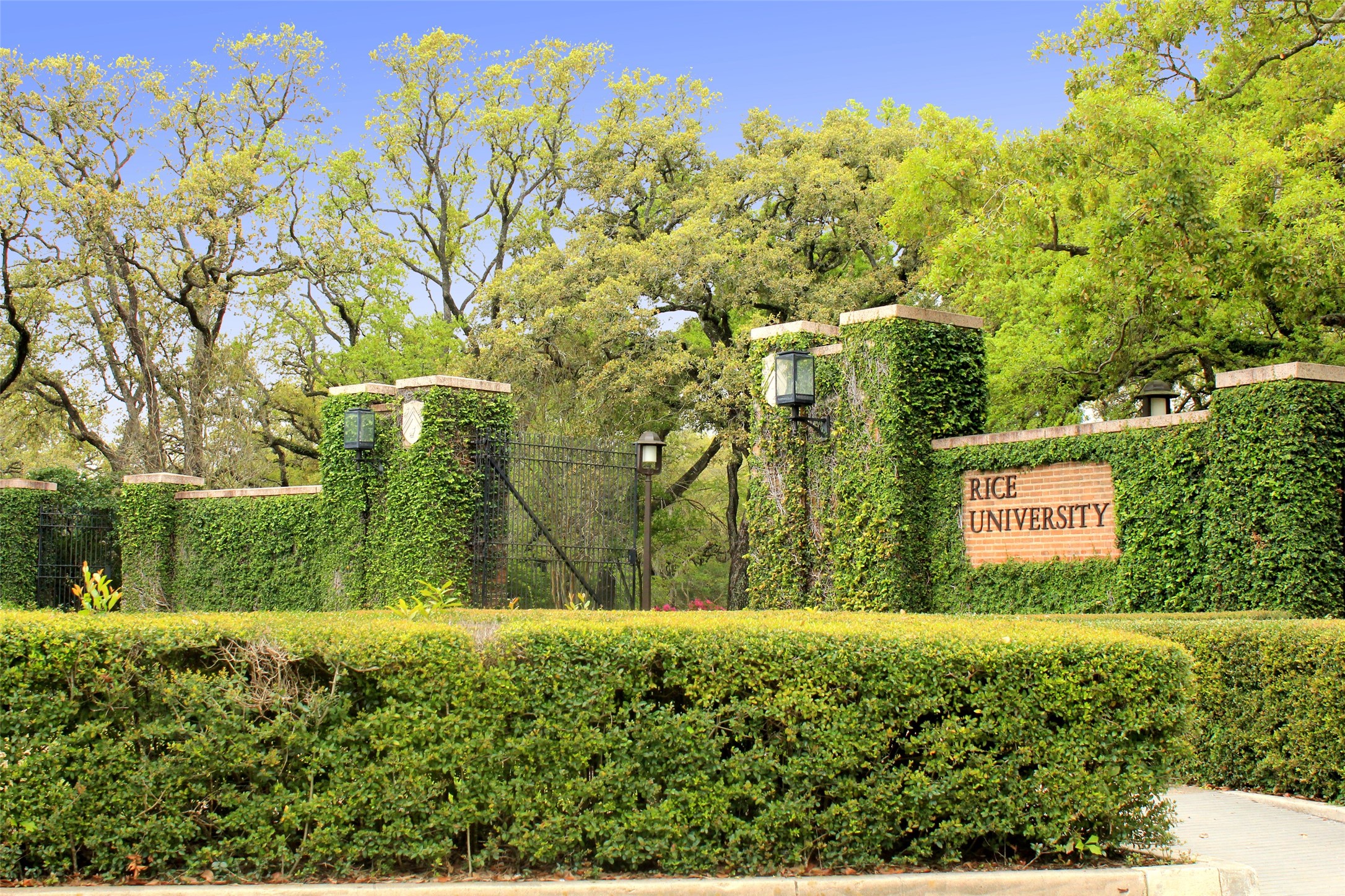 2016 Dryden Road , Houston, TX, 77030 | 6760705 | Realty Texas LLC