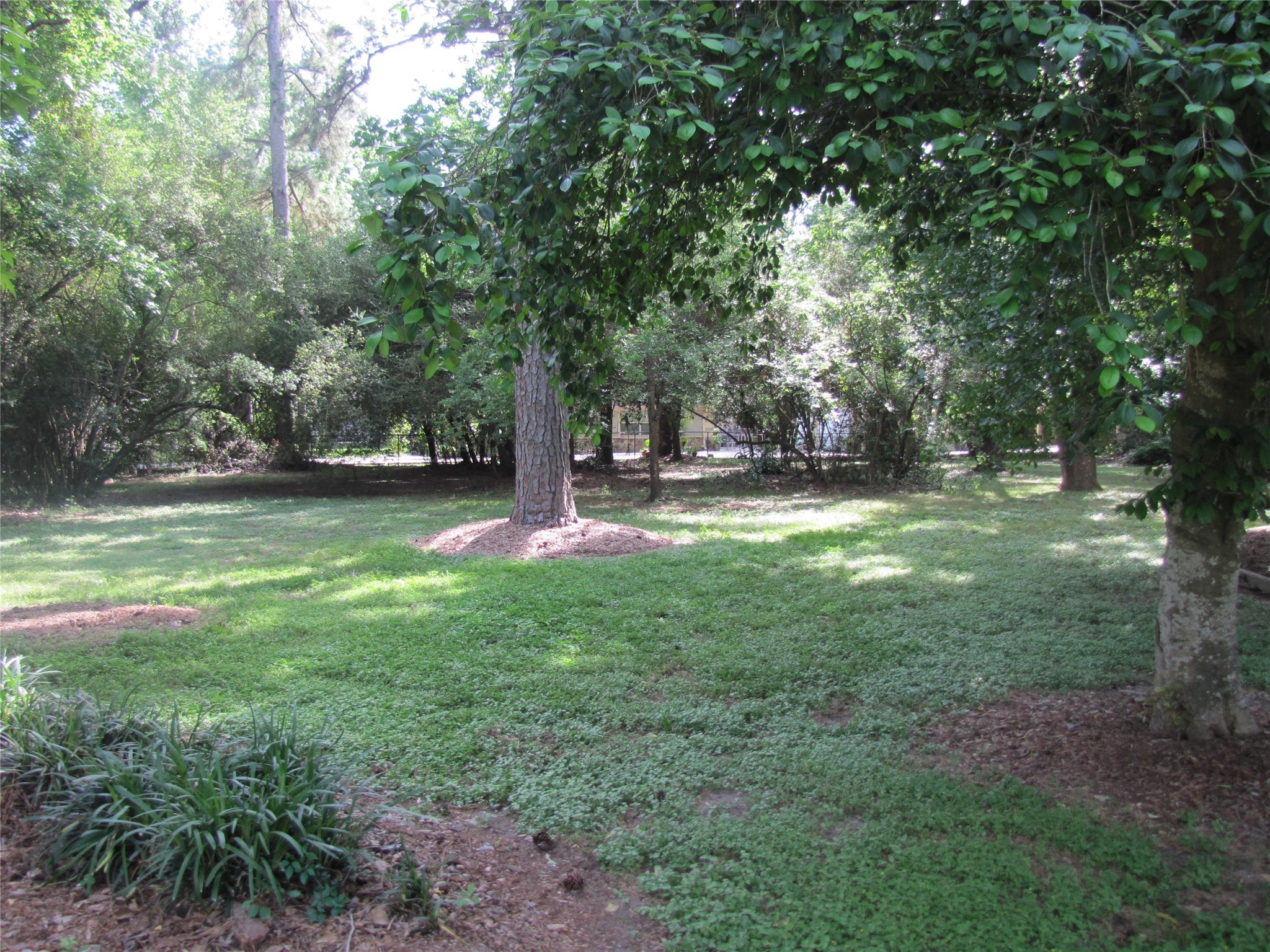 21315 Greengate Drive , Spring, TX, 77388 | 15756883 | Realty Texas LLC