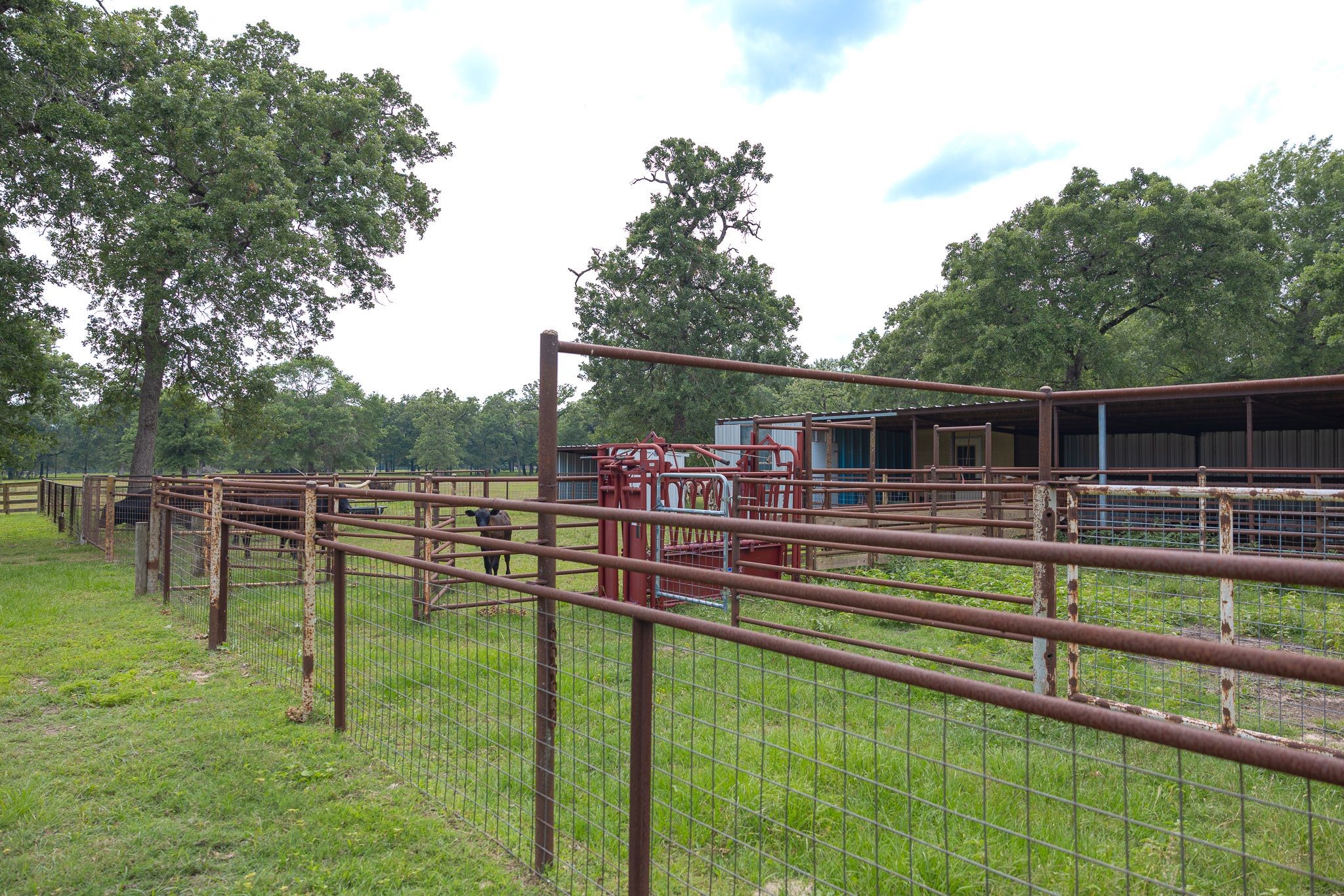 4988 Paso Fino Lane, Madisonville, TX, 77864 | 8468143 | Realty Texas LLC