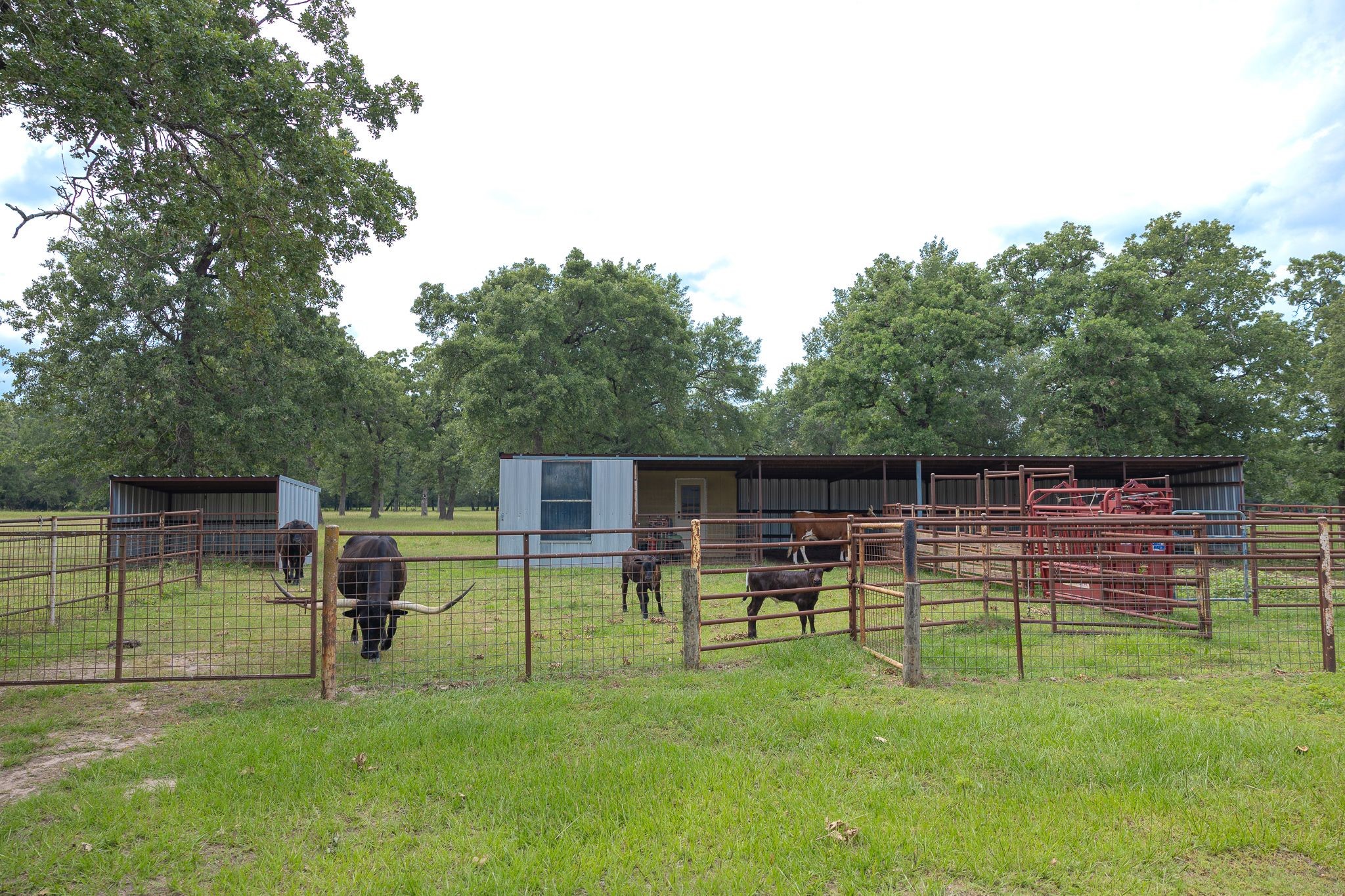 4988 Paso Fino Lane, Madisonville, TX, 77864 | 8468143 | Realty Texas LLC