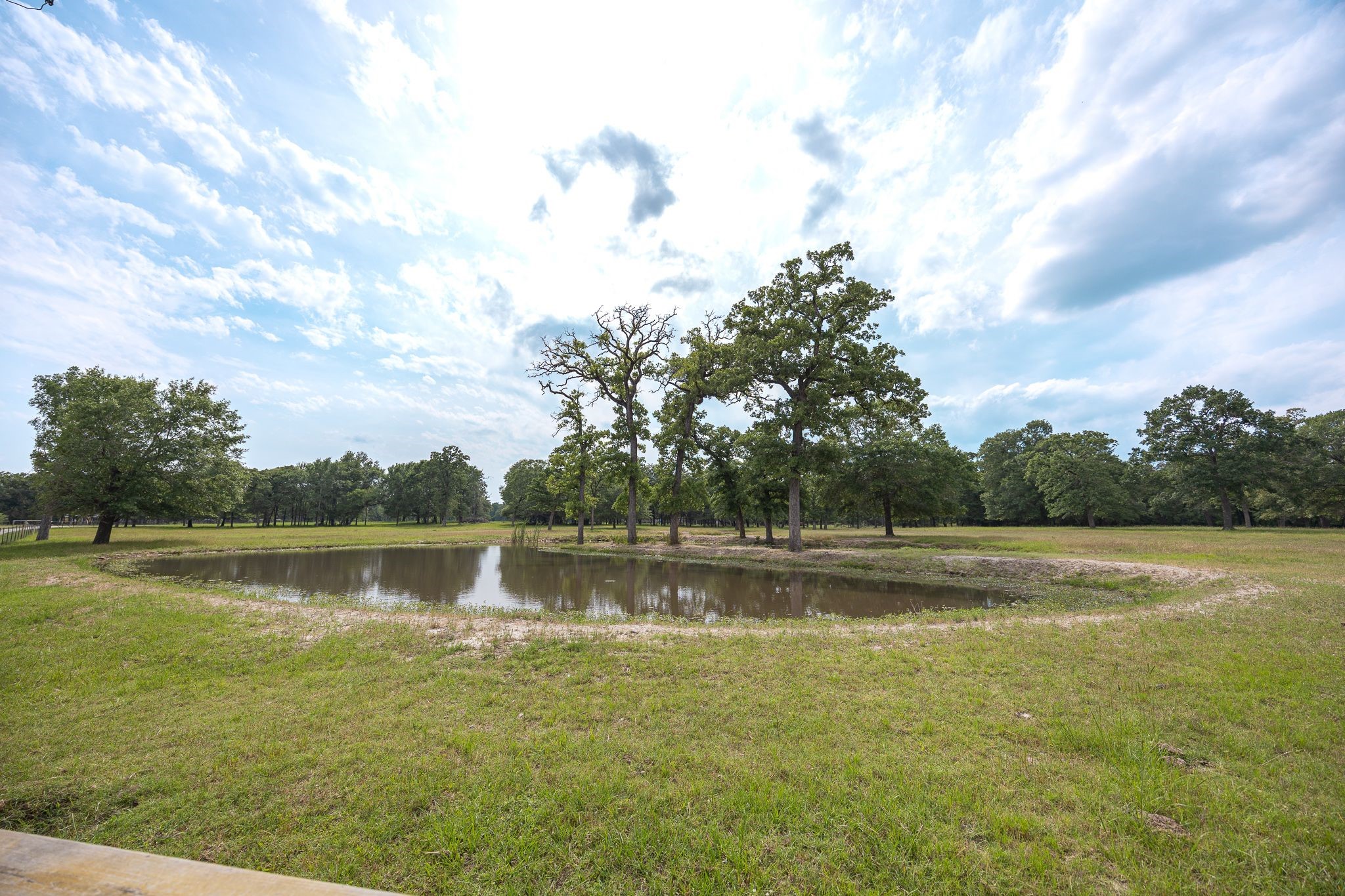 4988 Paso Fino Lane, Madisonville, TX, 77864 | 8468143 | Realty Texas LLC