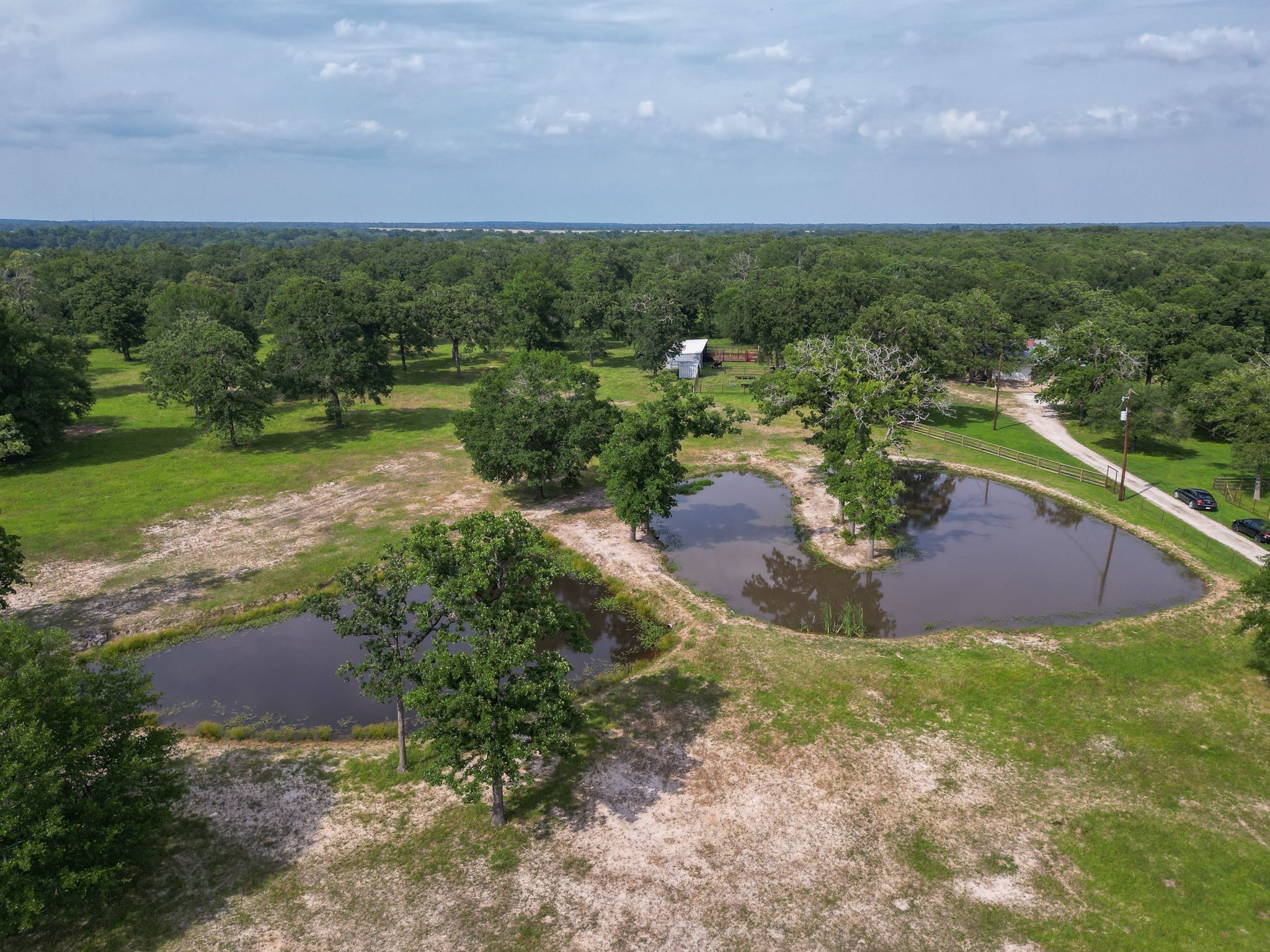 4988 Paso Fino Lane, Madisonville, TX, 77864 | 8468143 | Realty Texas LLC
